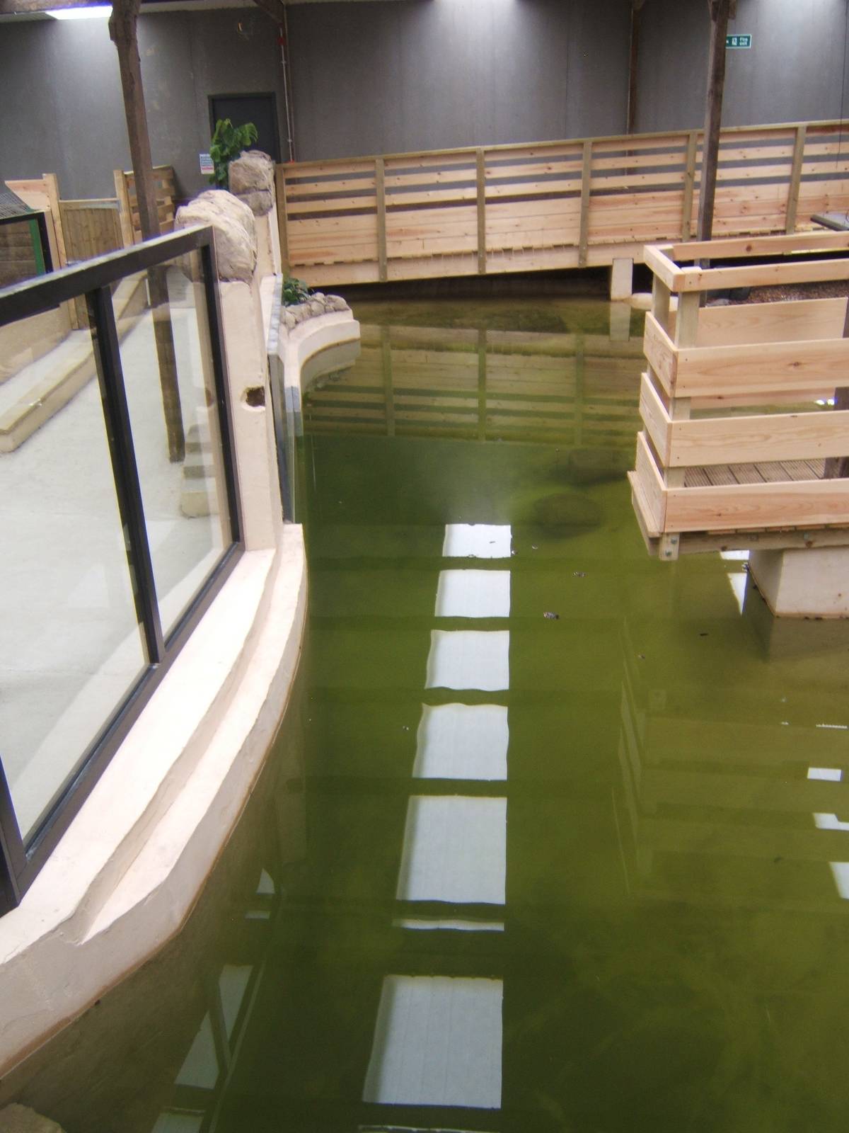 View of the South African Nile Crocodile exhibit