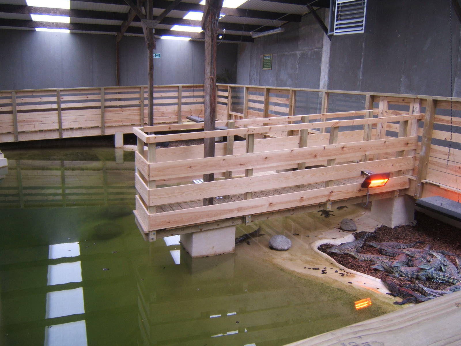 View of the South African Nile Crocodile exhibit