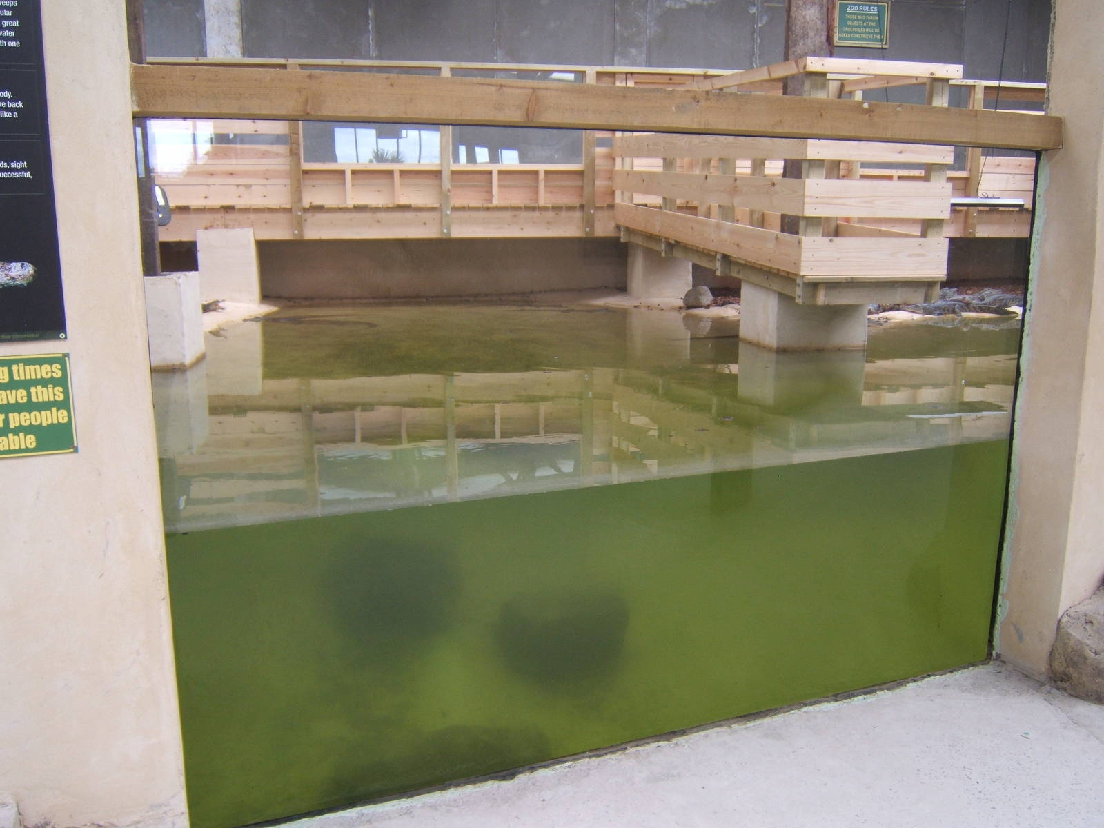 View of the South African Nile Crocodile exhibit
