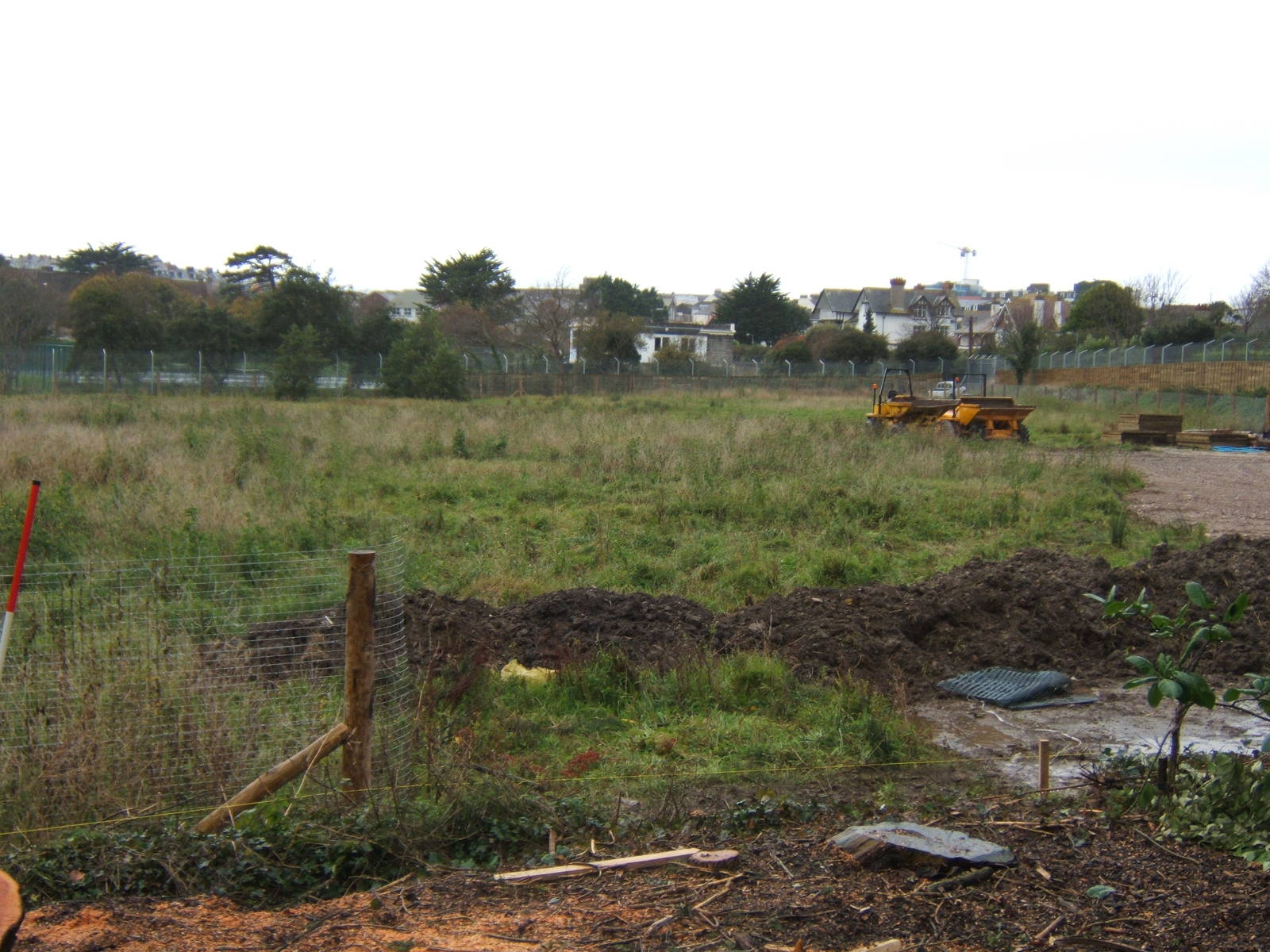 View of the start of work of the African Paddock
