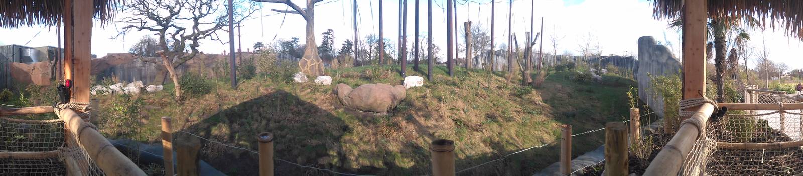 View of the Sumatran Orangutan Outdoor Enclosure From The Veiwing Hut