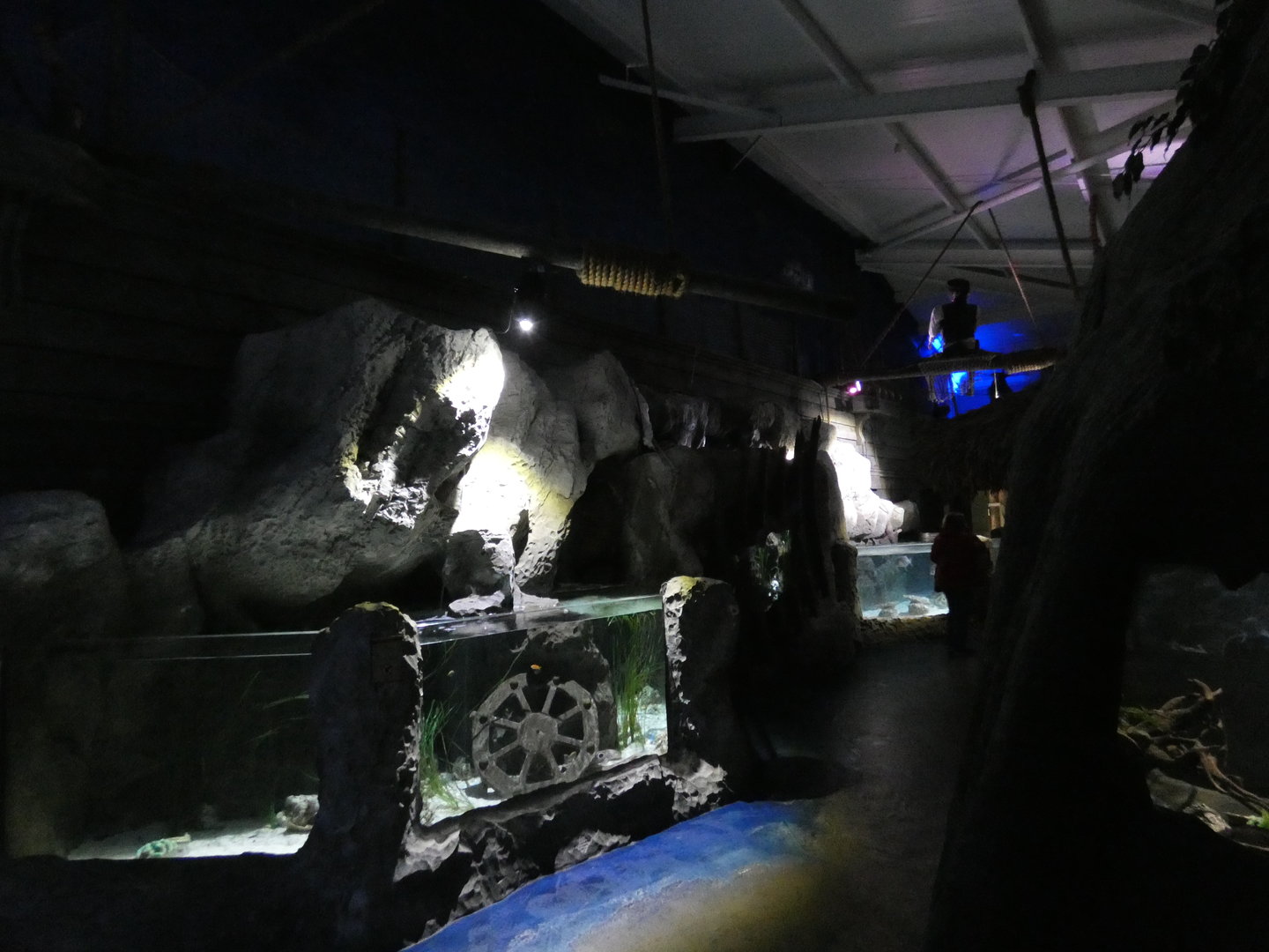 View of the 'Sunken Hold' area - Skegness Aquarium