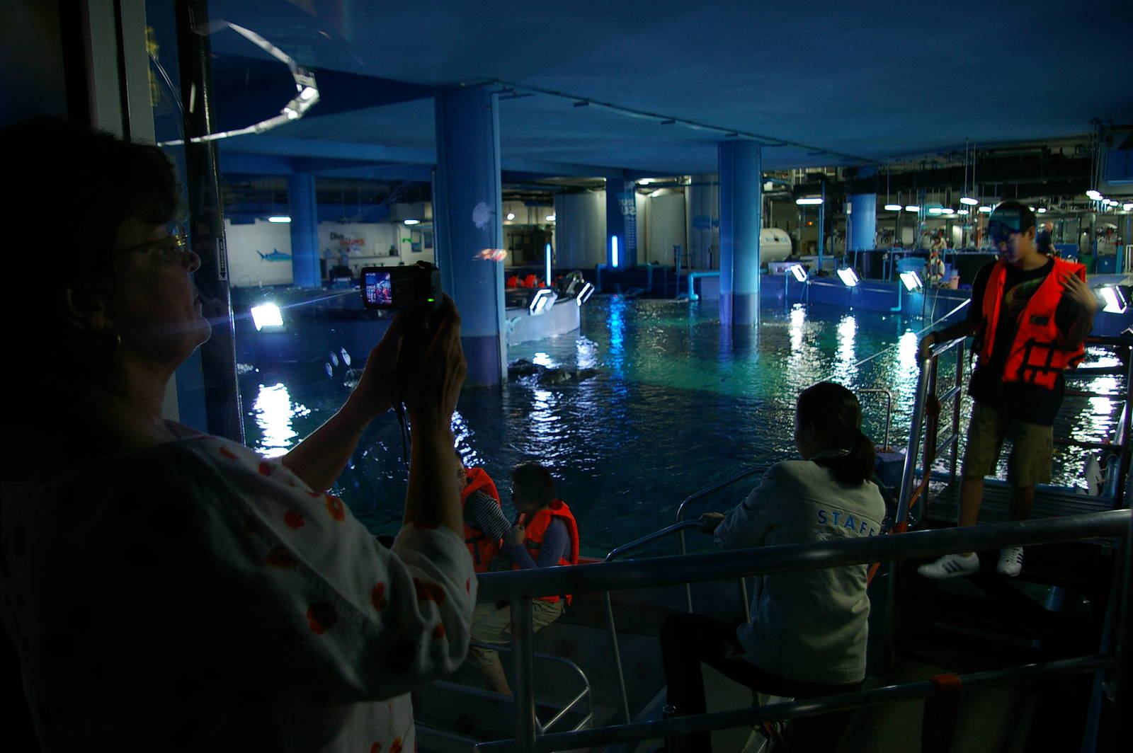 view of the surface of the main ocean tank