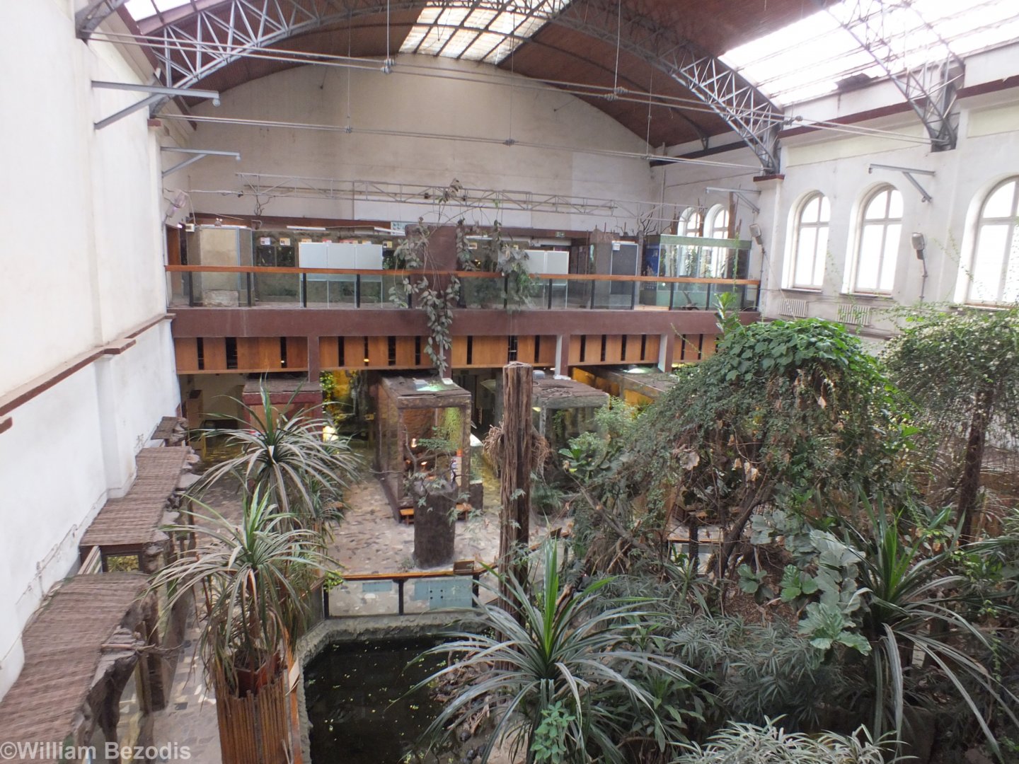 View of The Terrarium from Above - Wroclaw Zoo Terrarium