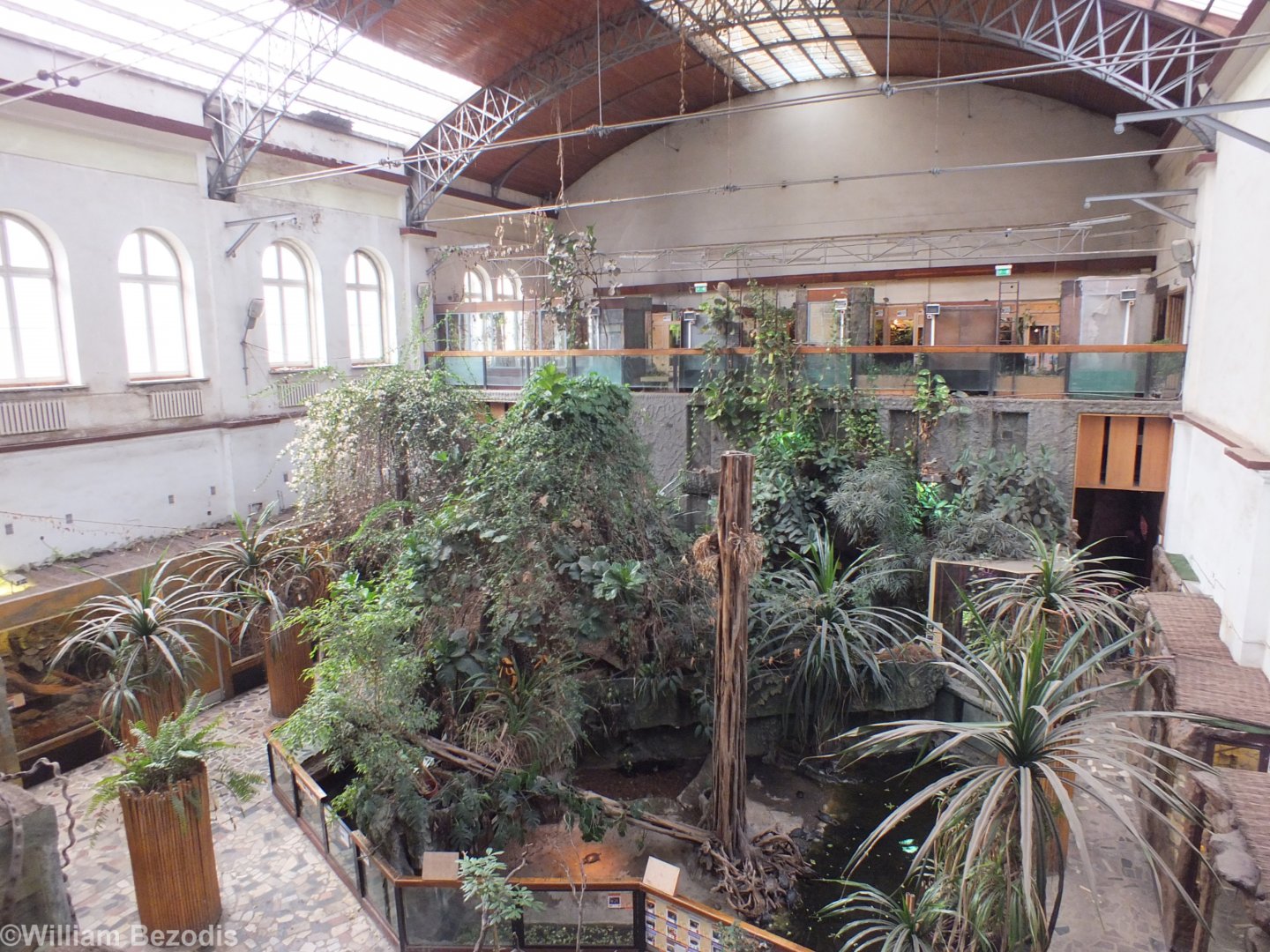 View of the Terrarium - Wroclaw Zoo Terrarium