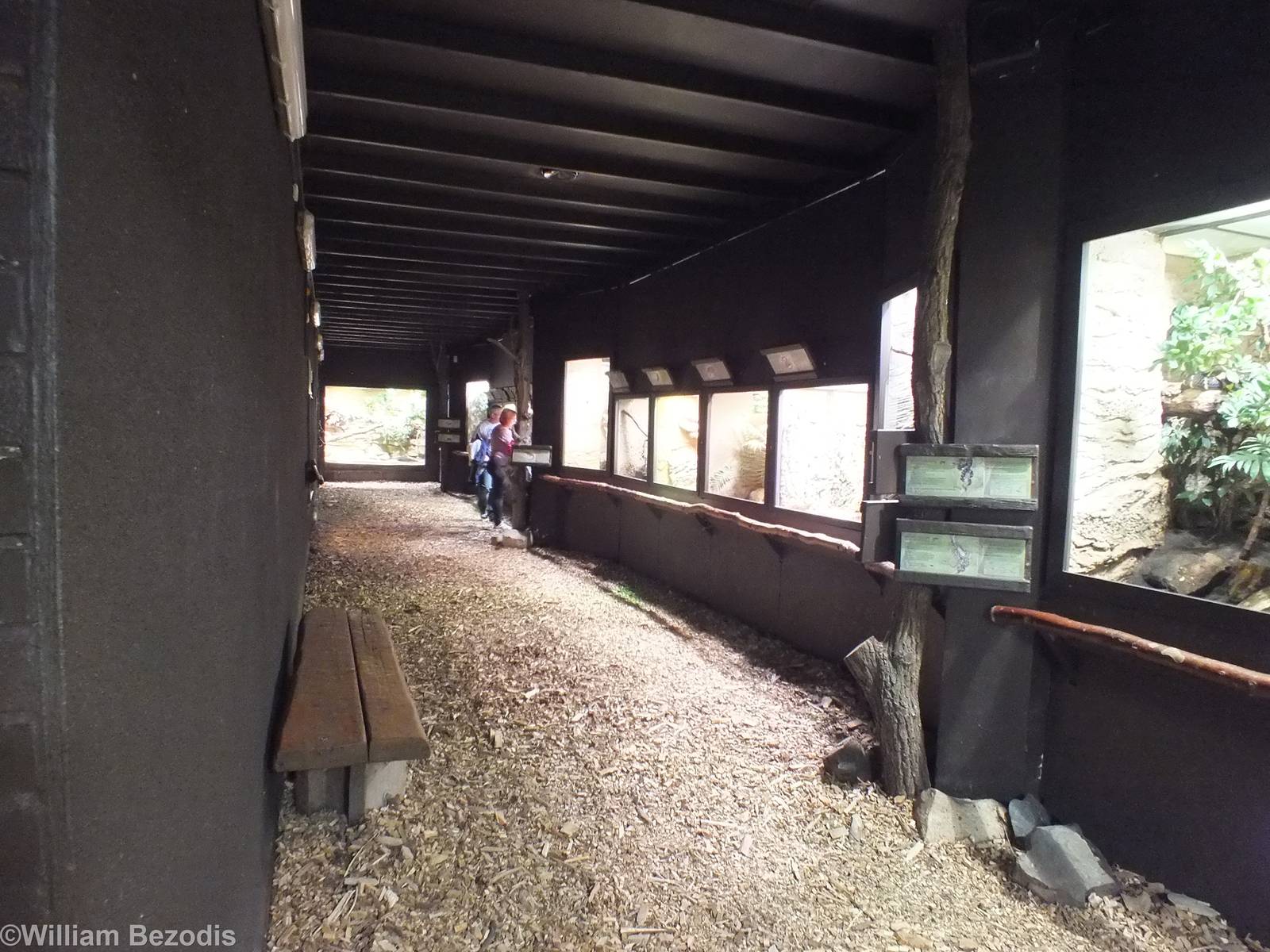 View of the Terrarium