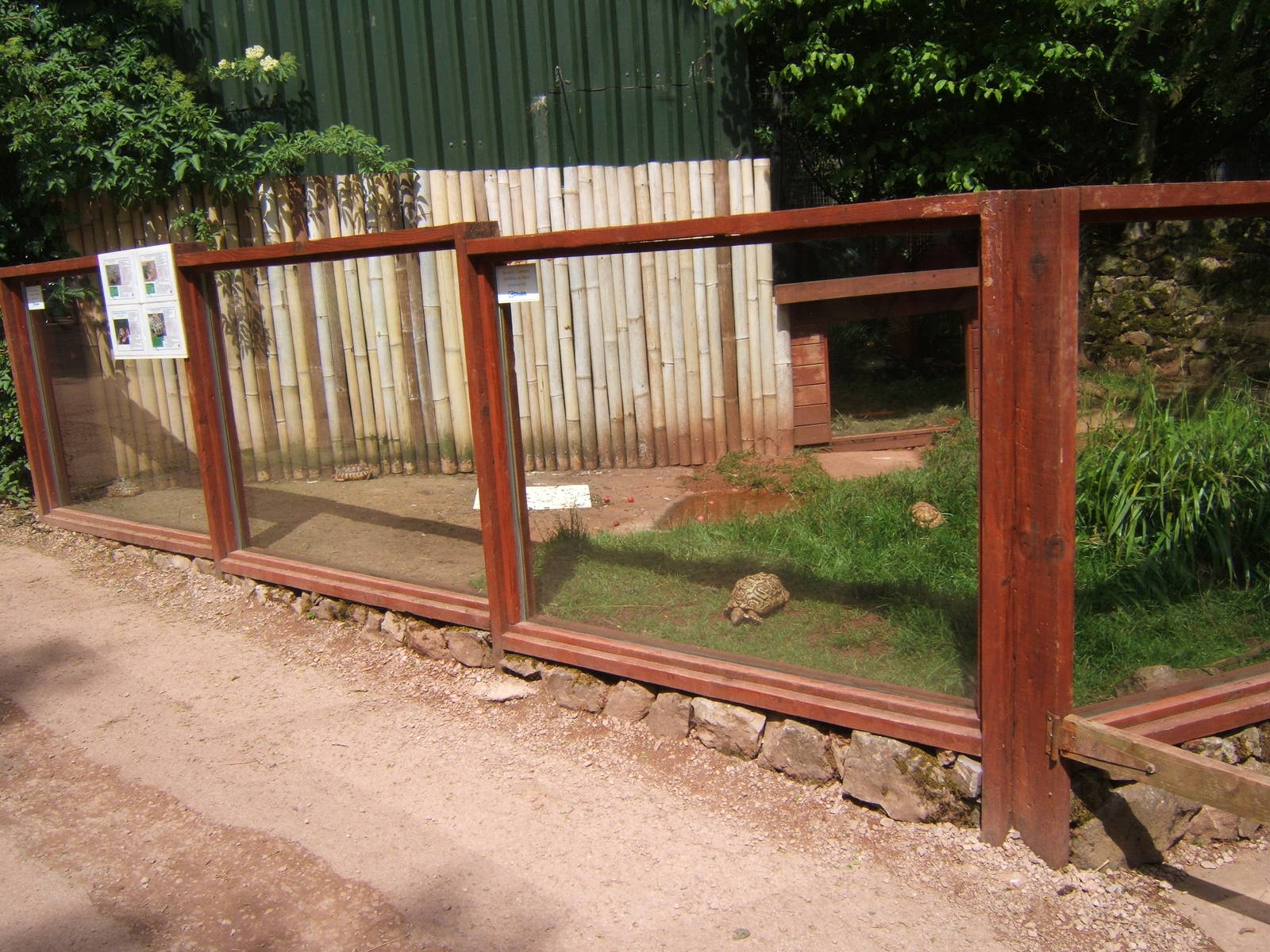 View of the Tortoise enclosure