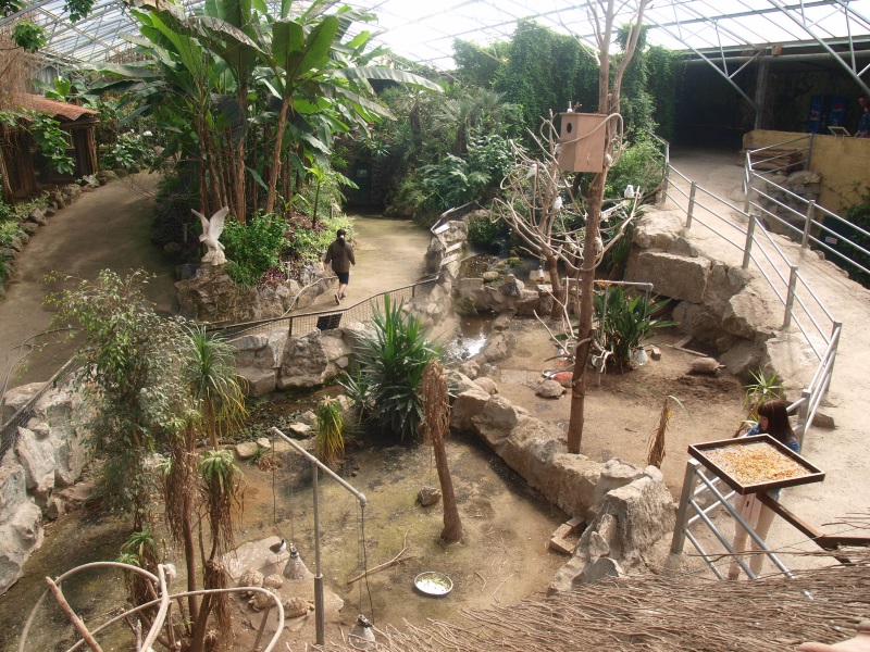 View of the tortoise enclosures (April 19th, 2015)