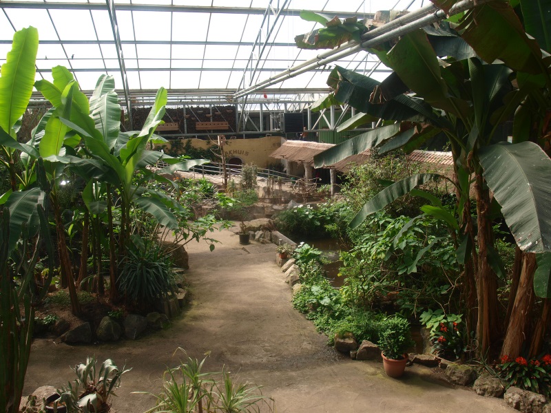 View of the Tropics Hall (April 19th, 2015)
