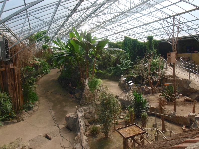 View of the Tropics Hall (April 19th, 2015)