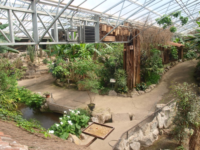 View of the Tropics Hall (April 19th, 2015)