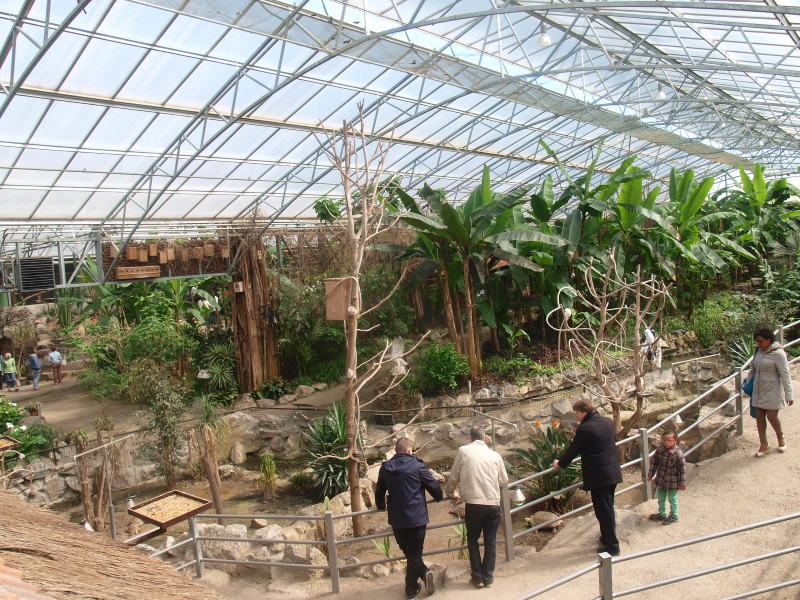 View of the Tropics Hall (April 19th, 2015)