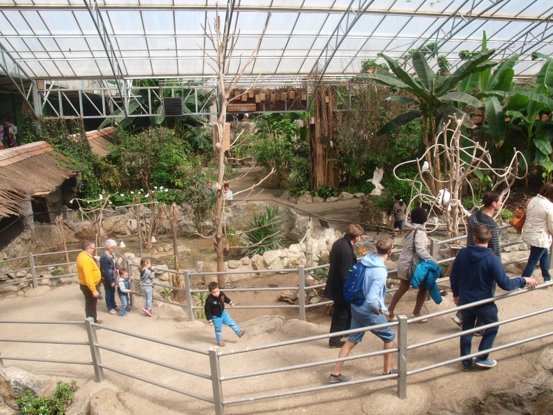 View of the Tropics Hall (April 19th, 2015)