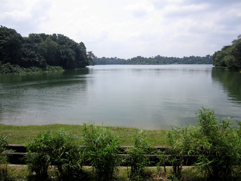 View of the Upper Seletar Reservoir