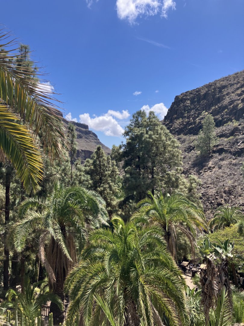 View of the valley from the zoo, 28/3/2024