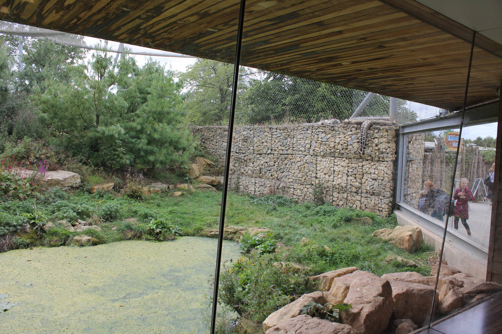 View of the view into Snow leopard enclosure 16-8-14
