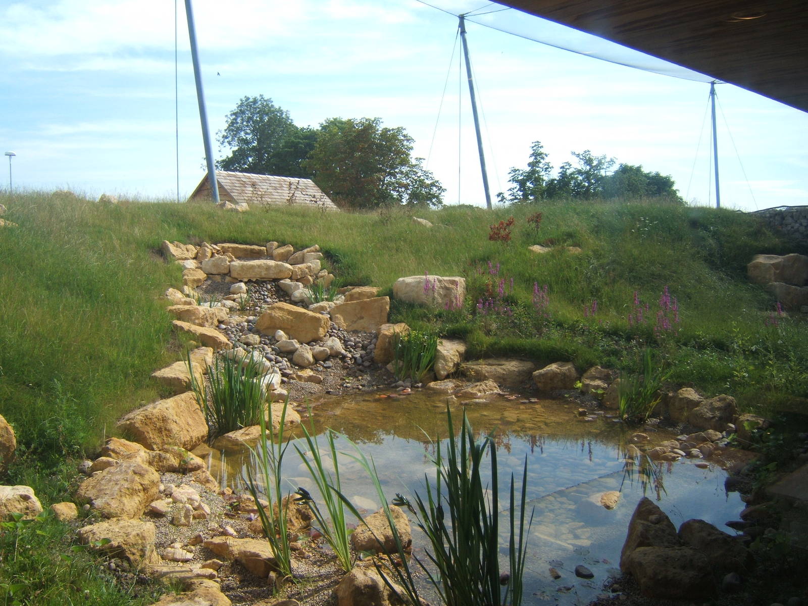View of the Wader Aviary from inside the Gents Toilets