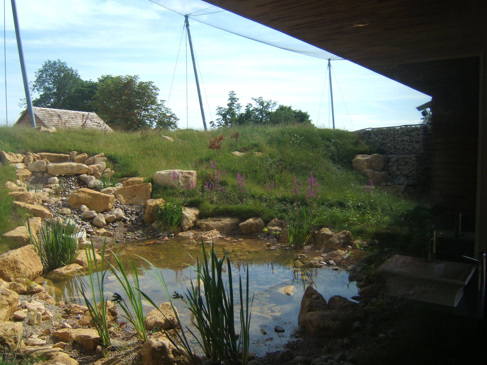 View of the Wader Aviary from inside the Gents Toilets