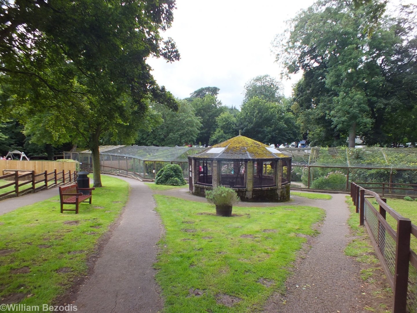 View of the Wader Walkthrough Aviary with Cockatiel Aviary in Front