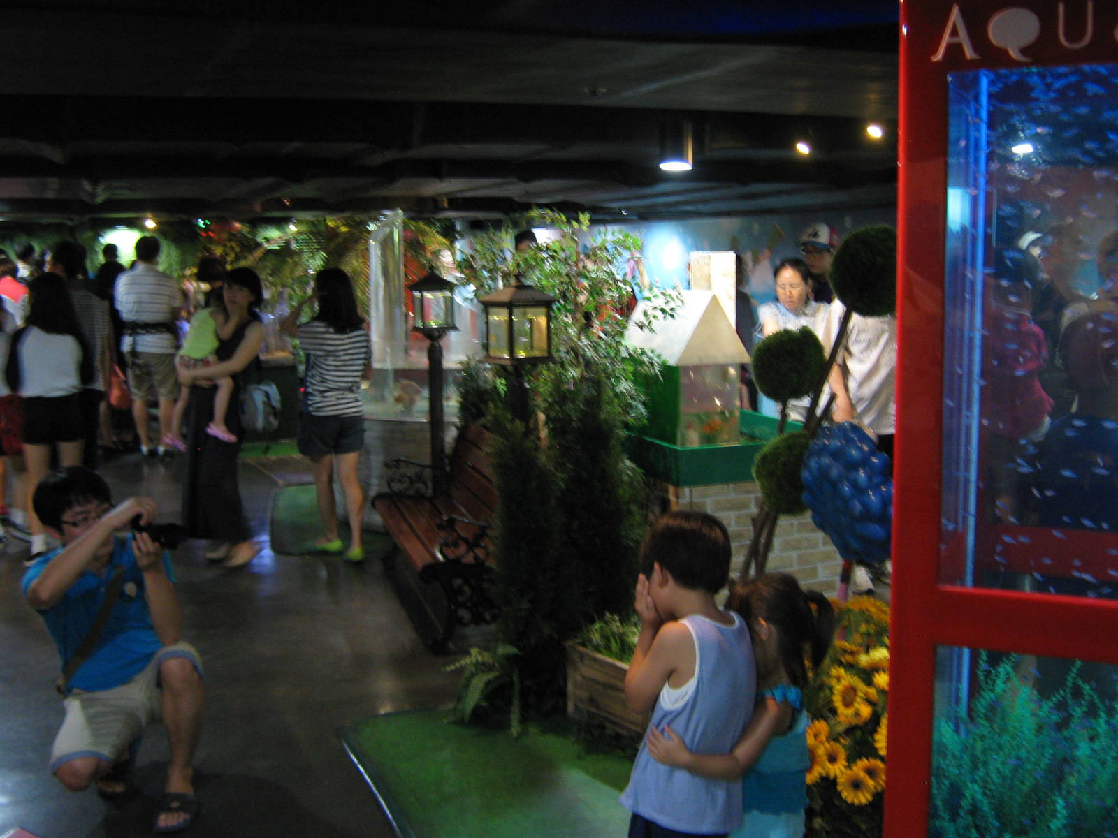 view of the weird aquarium section