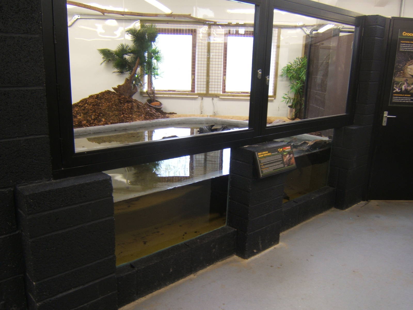 View of the West African Dwarf Crocodile exhibit