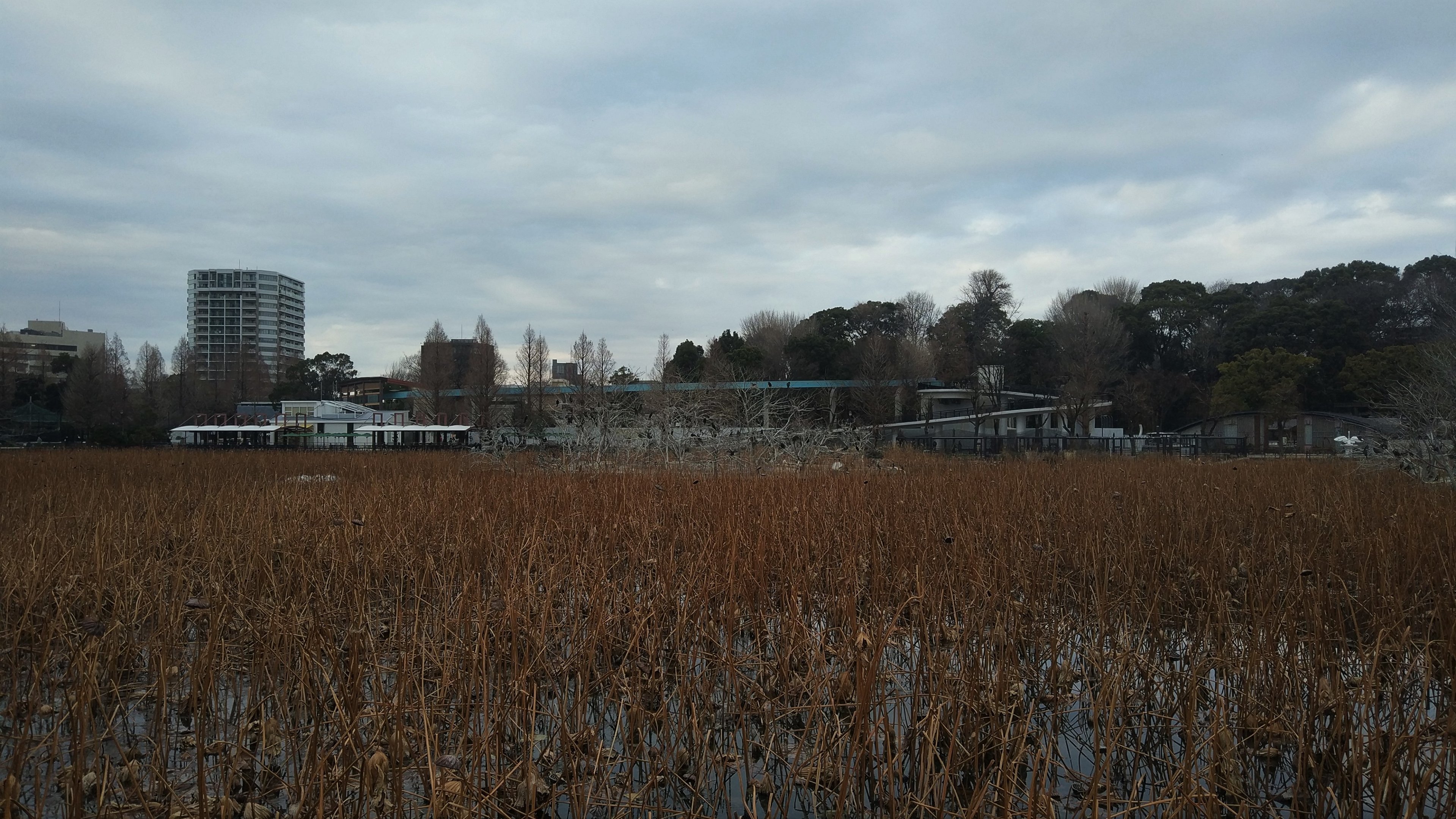 View Of The West Zoo Across The Pond