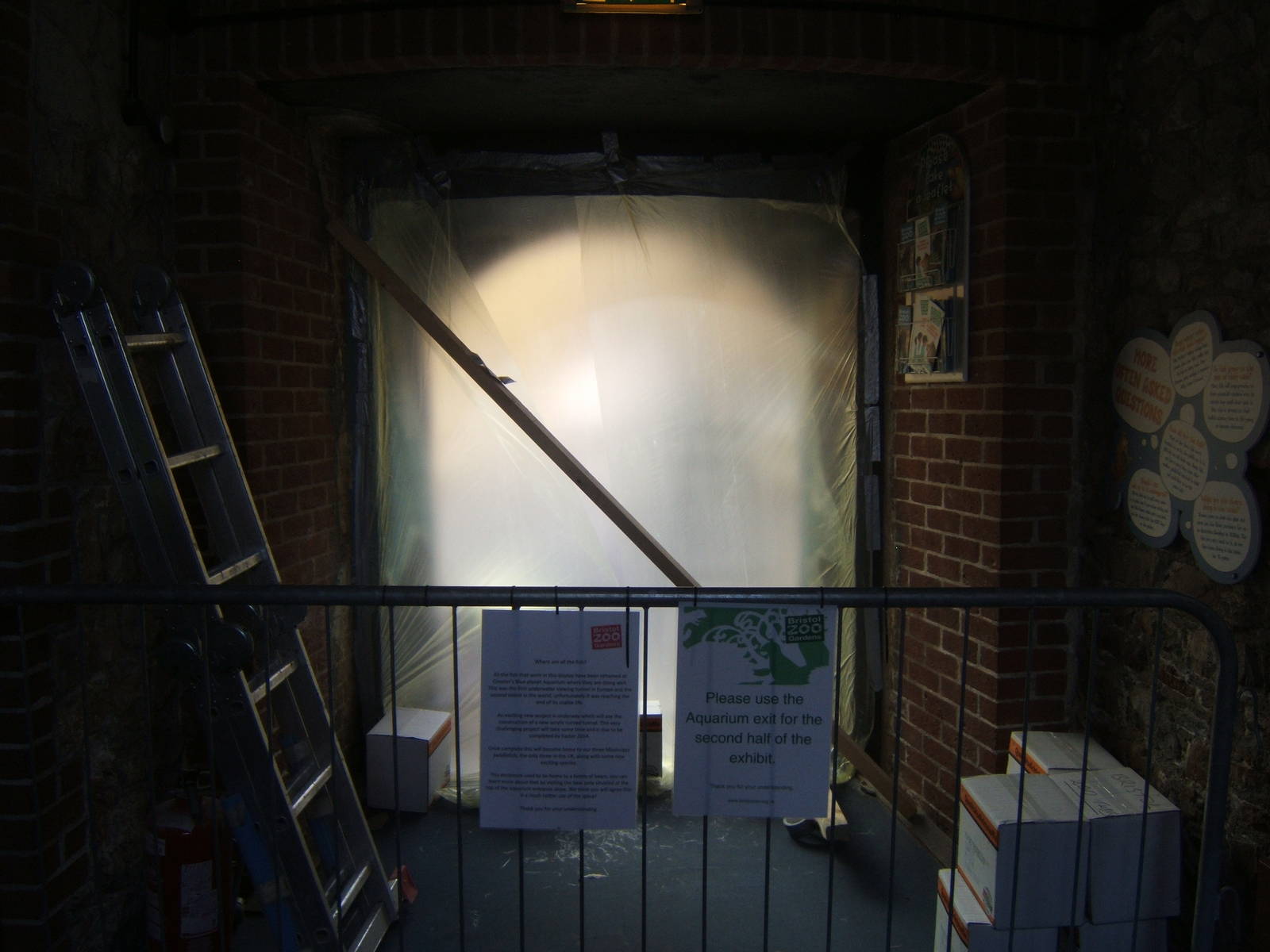 View of the work on the walk through tank