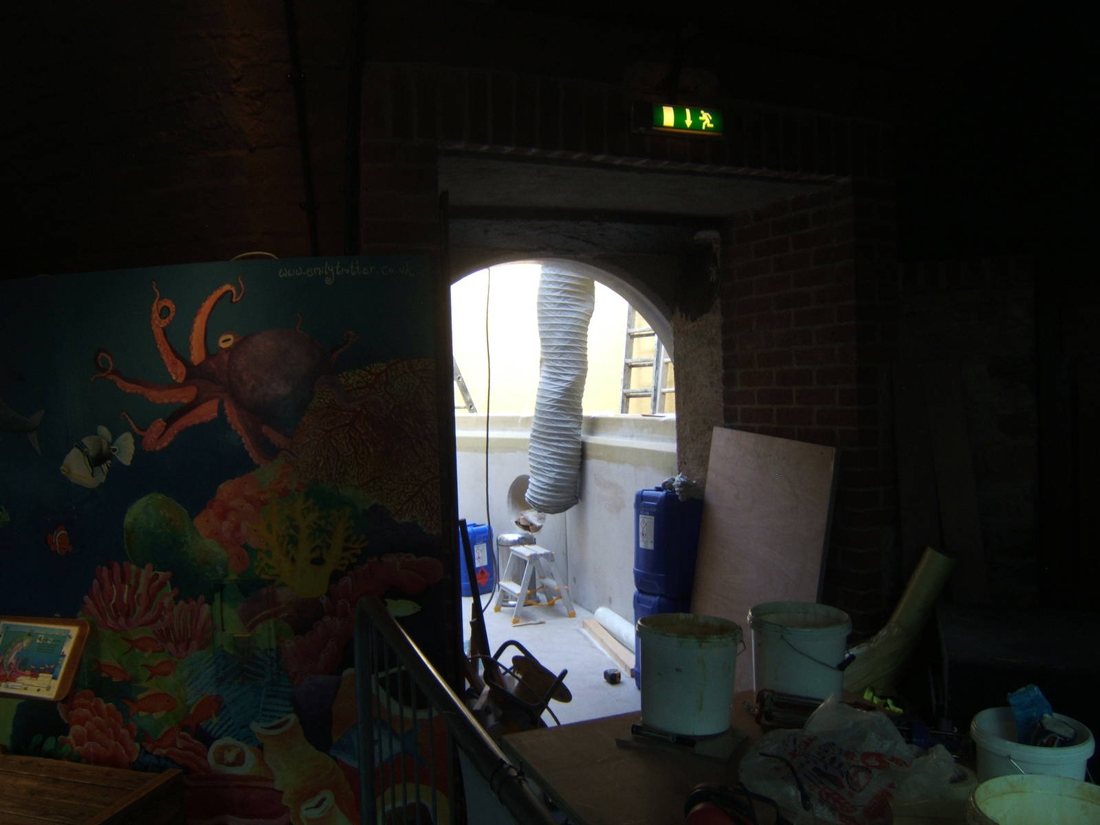 View of the work on the walk through tank