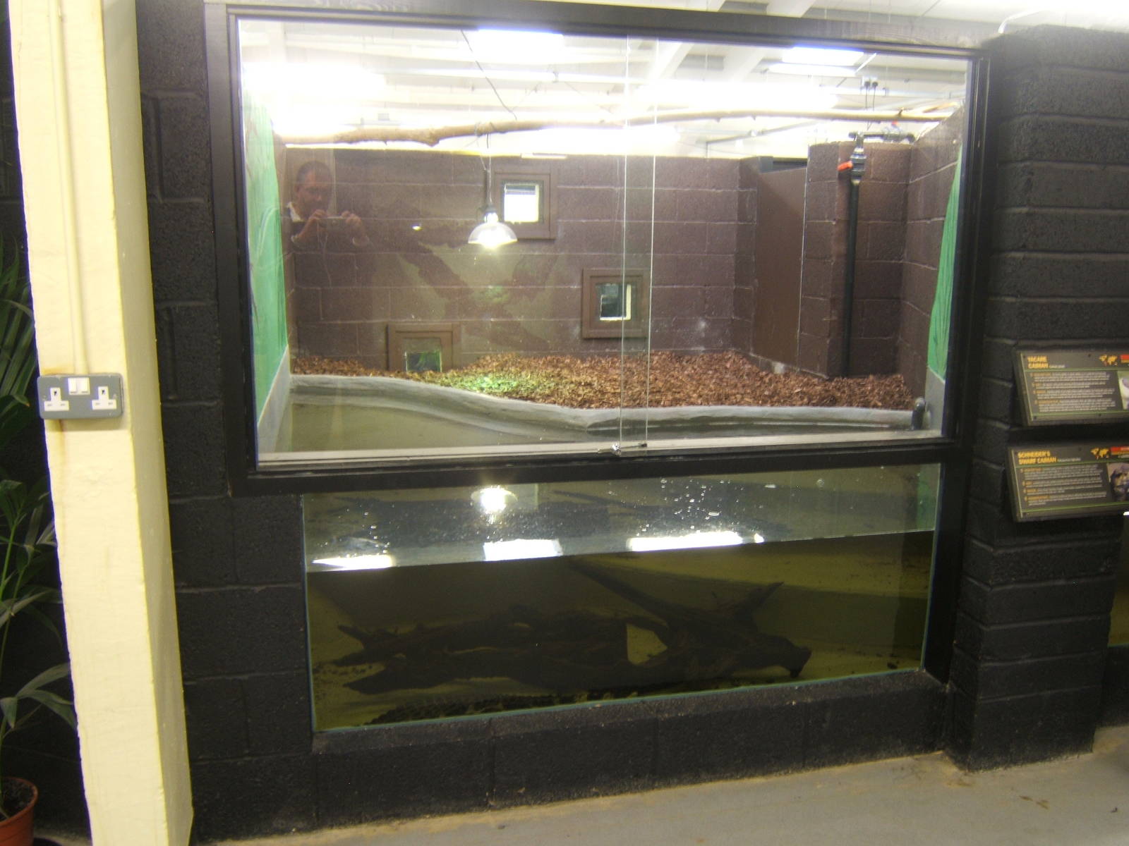 View of the Yacare Caiman exhibit