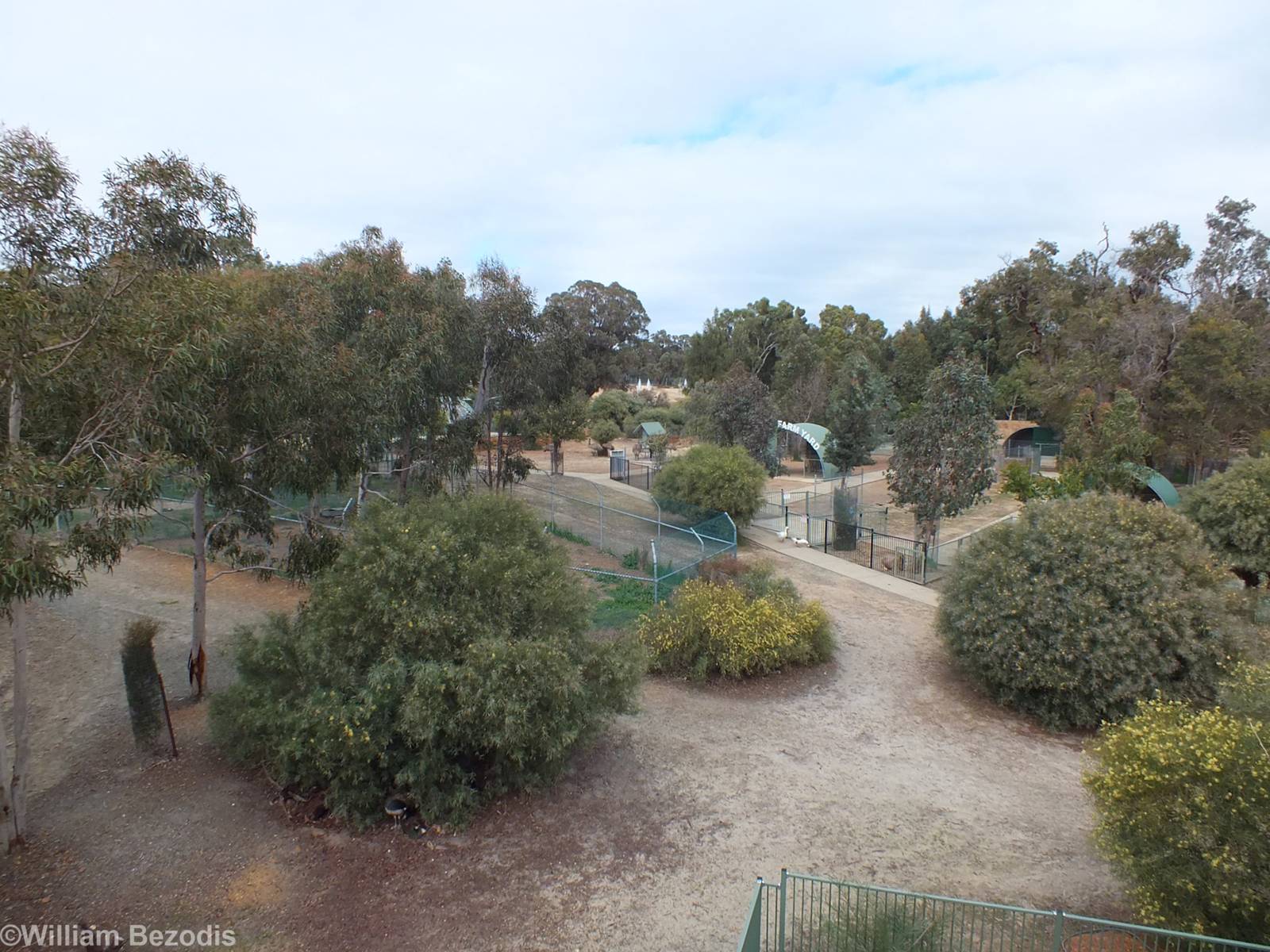 View of the Zoo from the Deep Space Observatory - Cohunu Koala Park