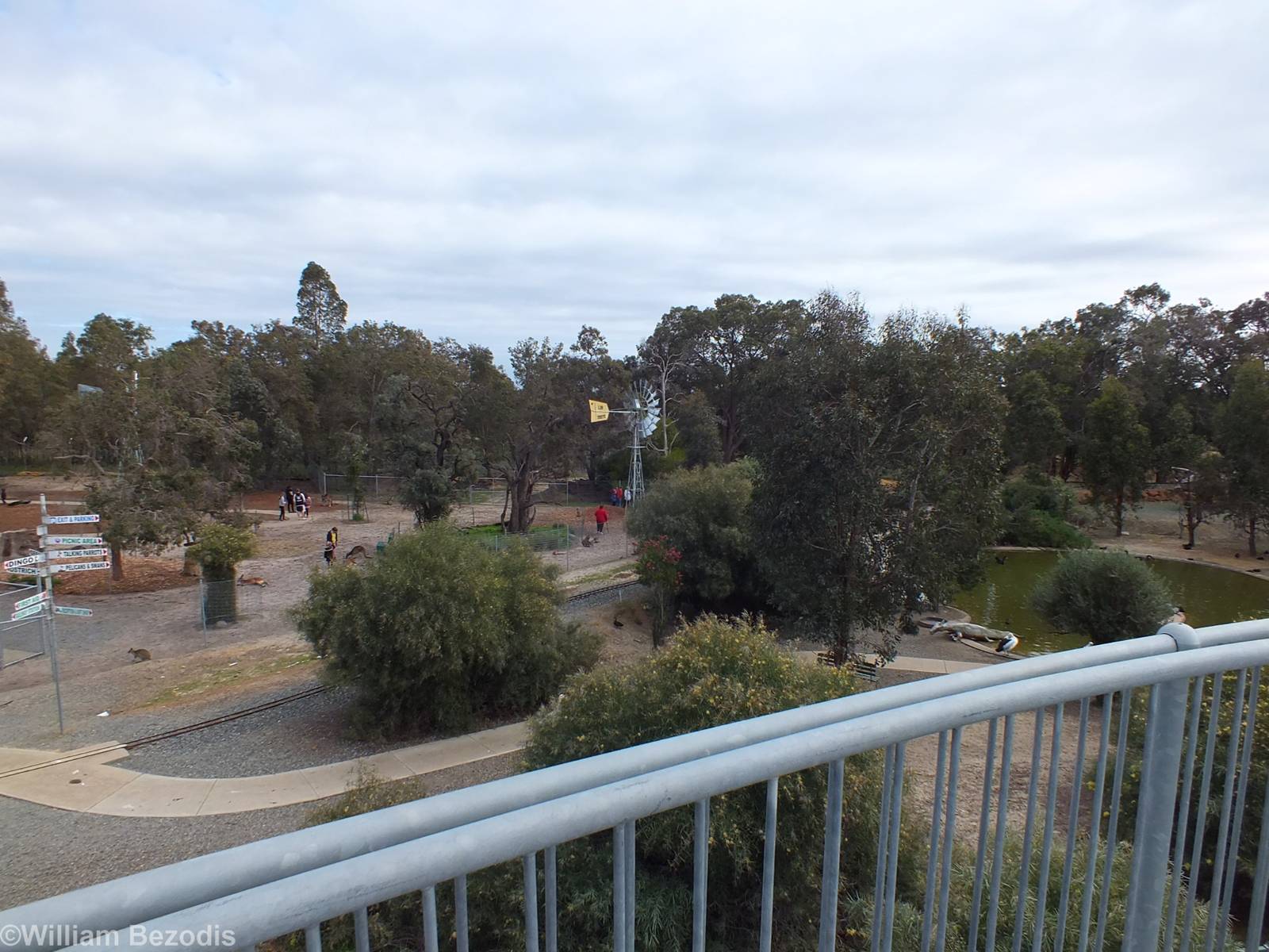 View of the Zoo from the Deep Space Observatory - Cohunu Koala Park