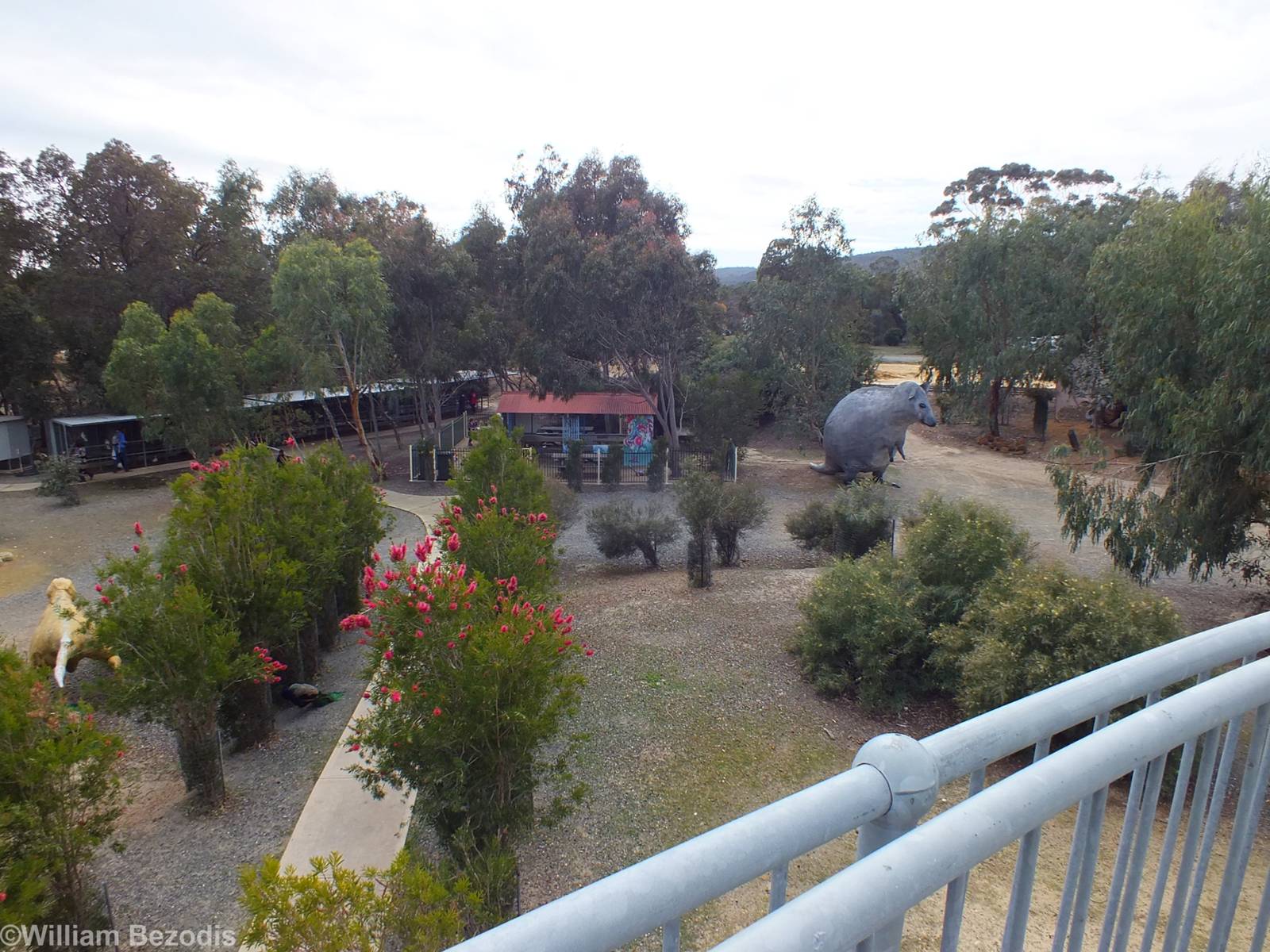 View of the Zoo from the Deep Space Observatory - Cohunu Koala Park