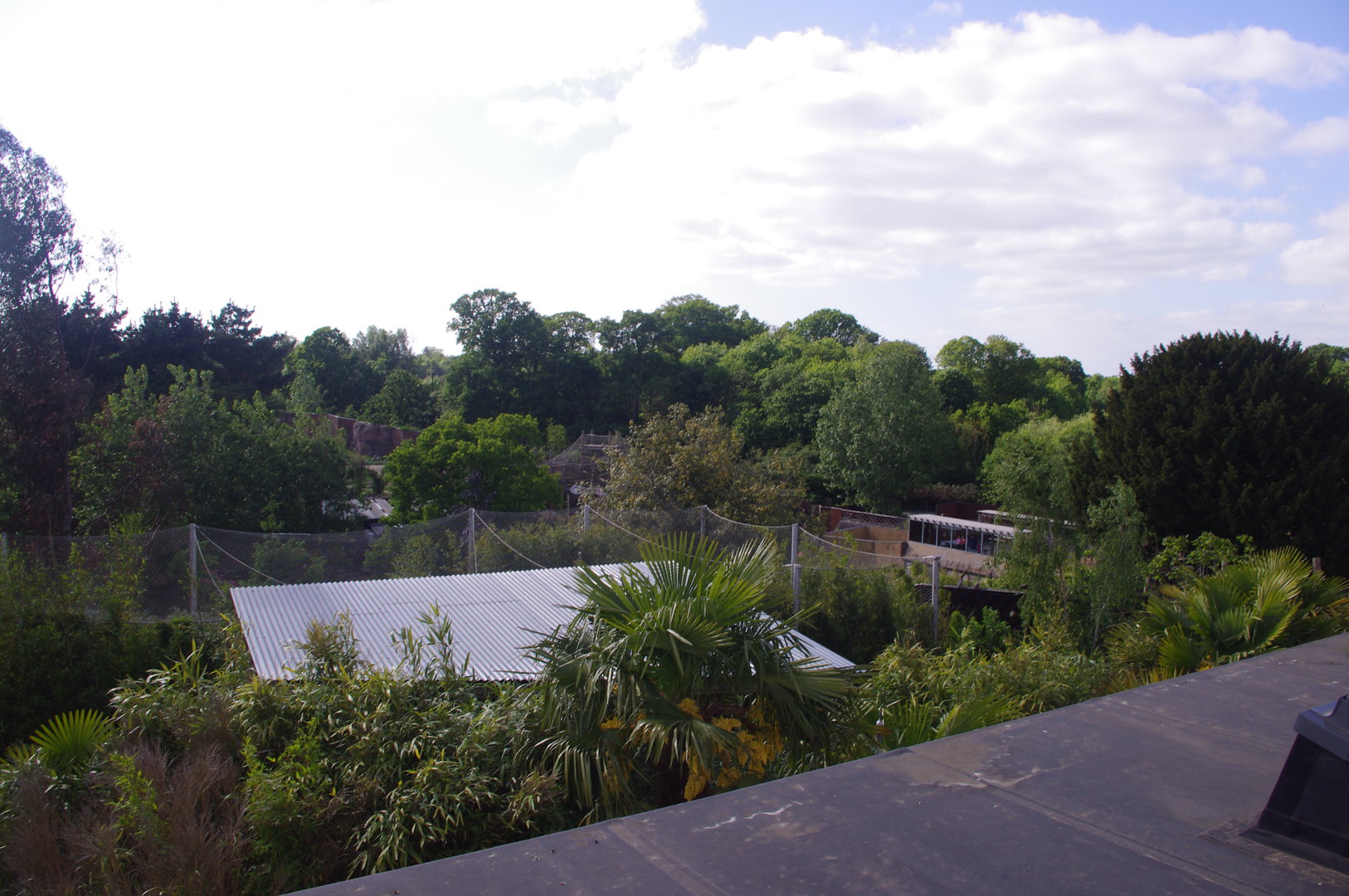 View of the zoo from the raised outdoor viewing for Chimpanzee Lookout- 2/6/2023