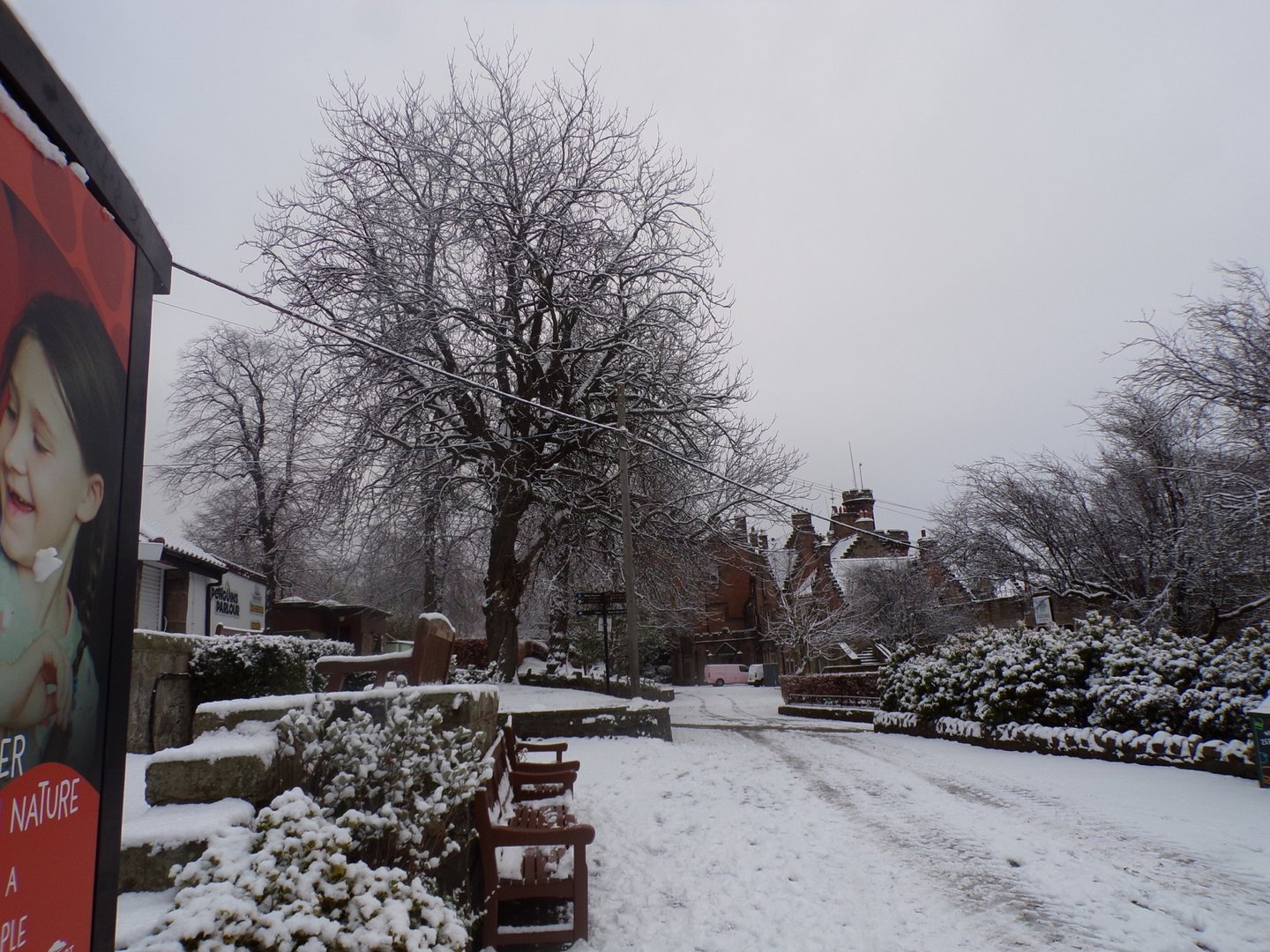 View of the zoo in snow