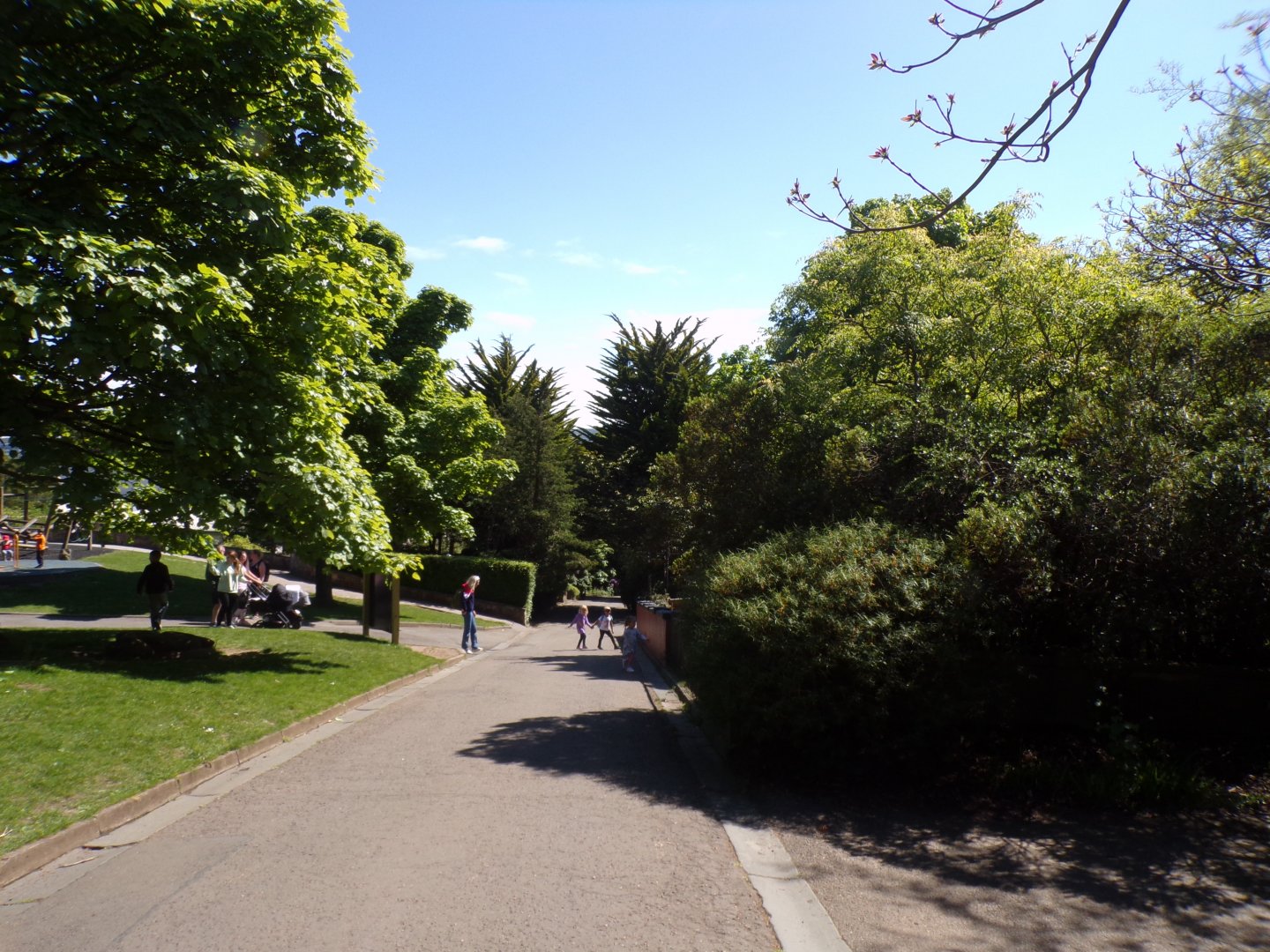 View of the zoo on a sunny day 20.5.24