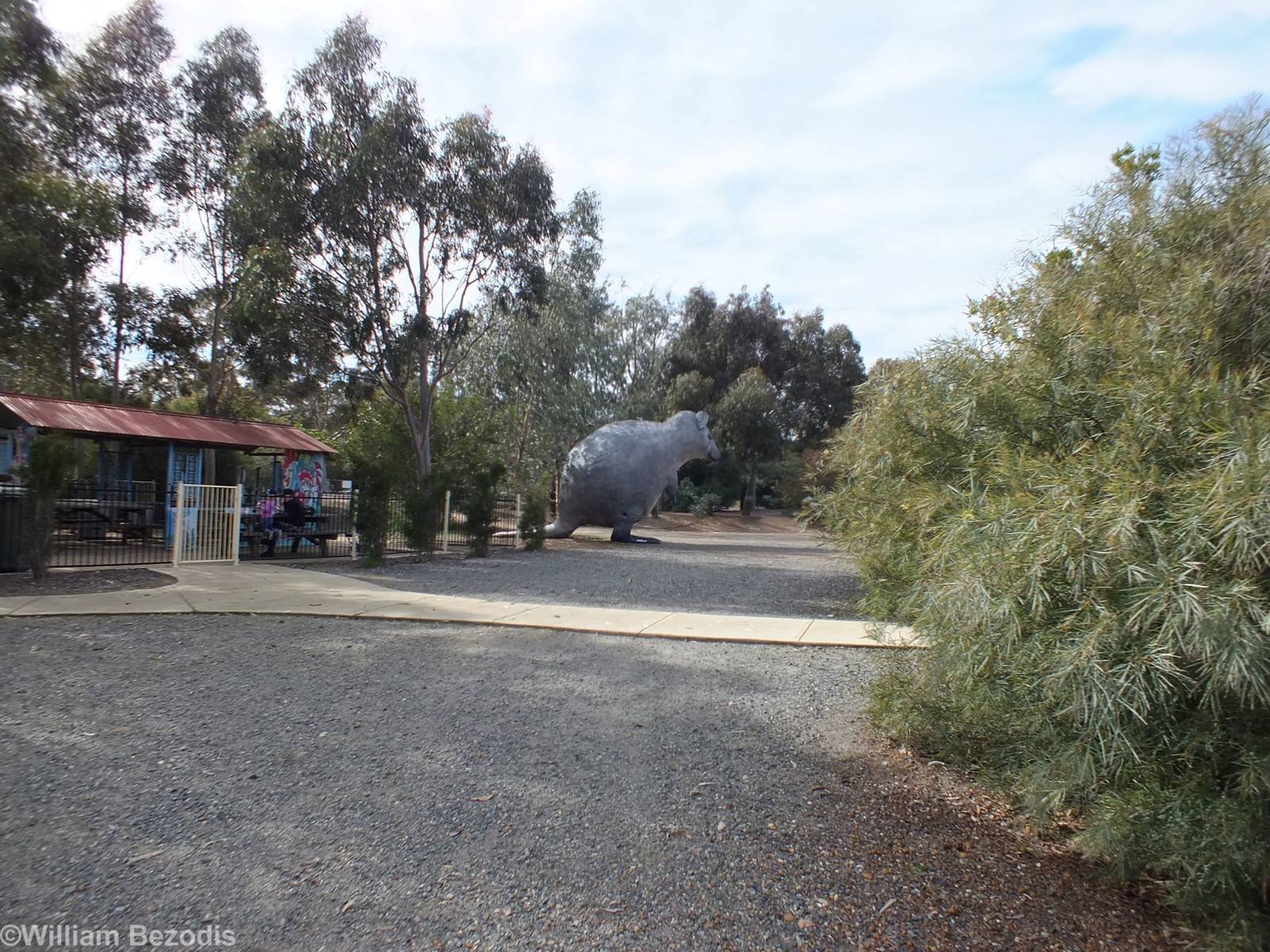 View of the Zoo, showing the Giant Quokka to Scale - Cohunu Koala Park