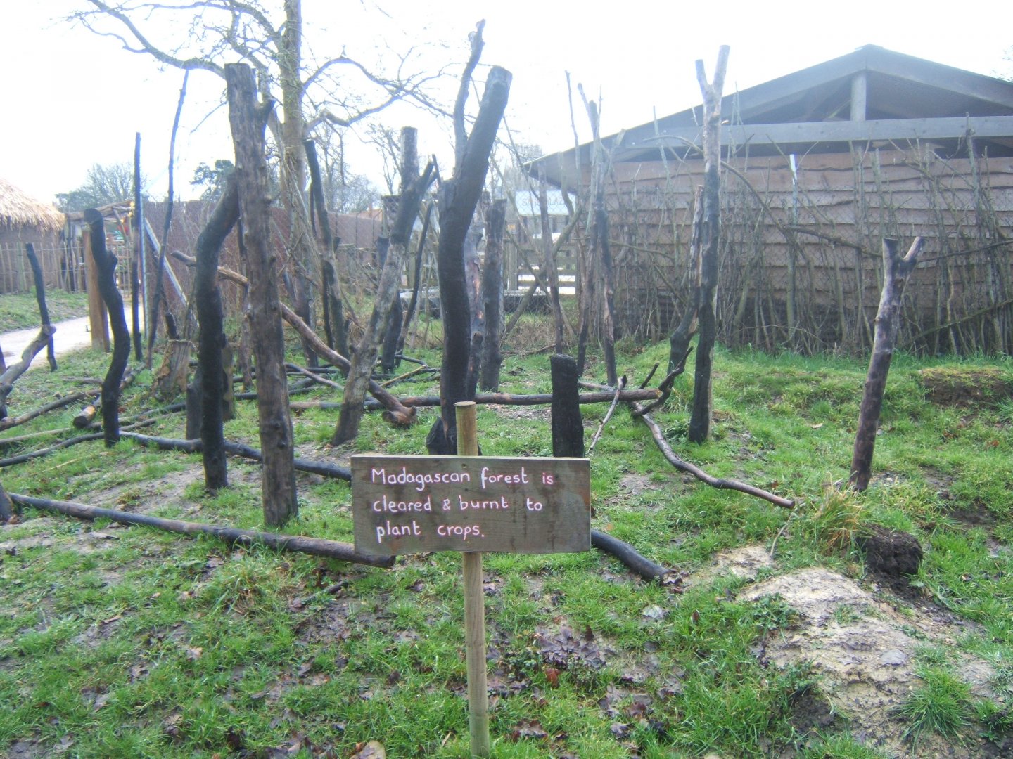 View of themed area 03/02/2018