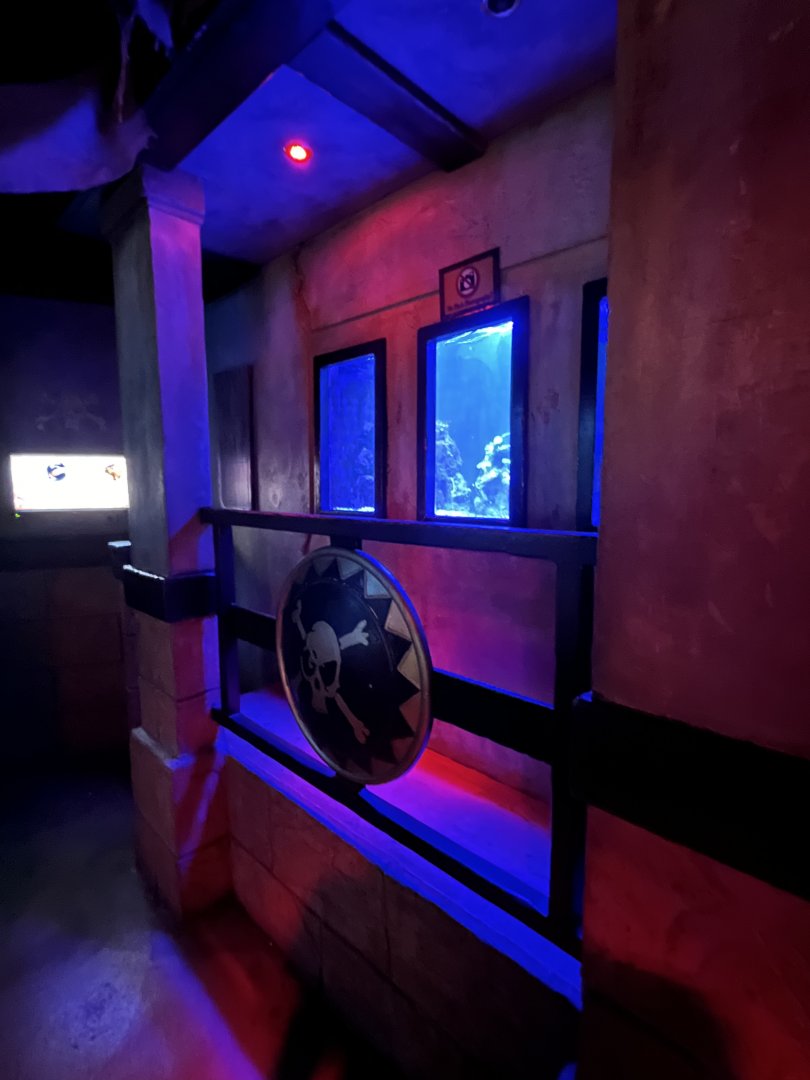 View of themed tanks 8.7.24