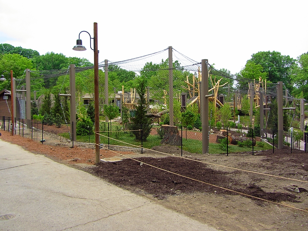 View of Third Amur Tiger Yard from Wolf Wilderness