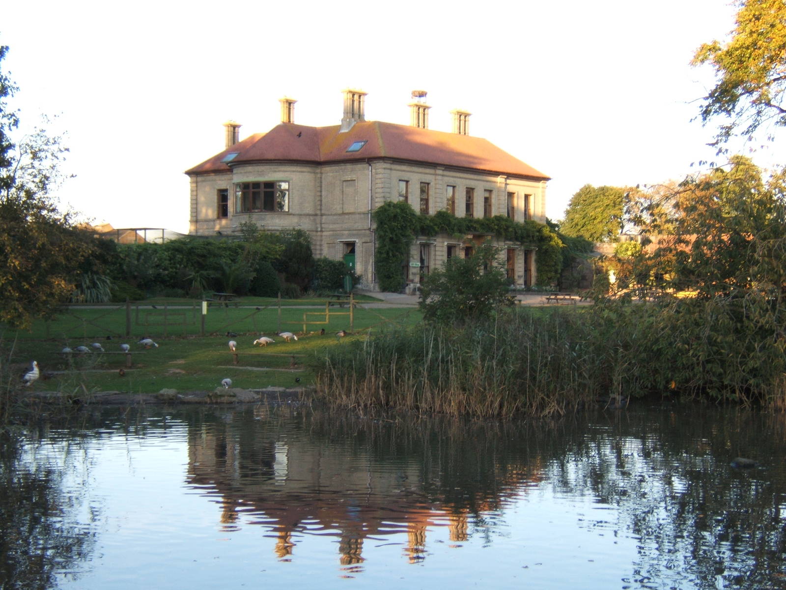 View of Thrigby Hall