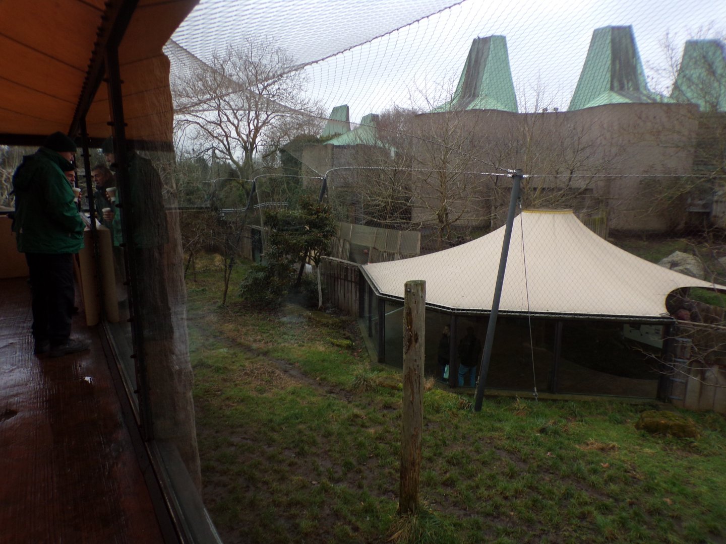 View of tiger enclosure and the Casson 11.2.25