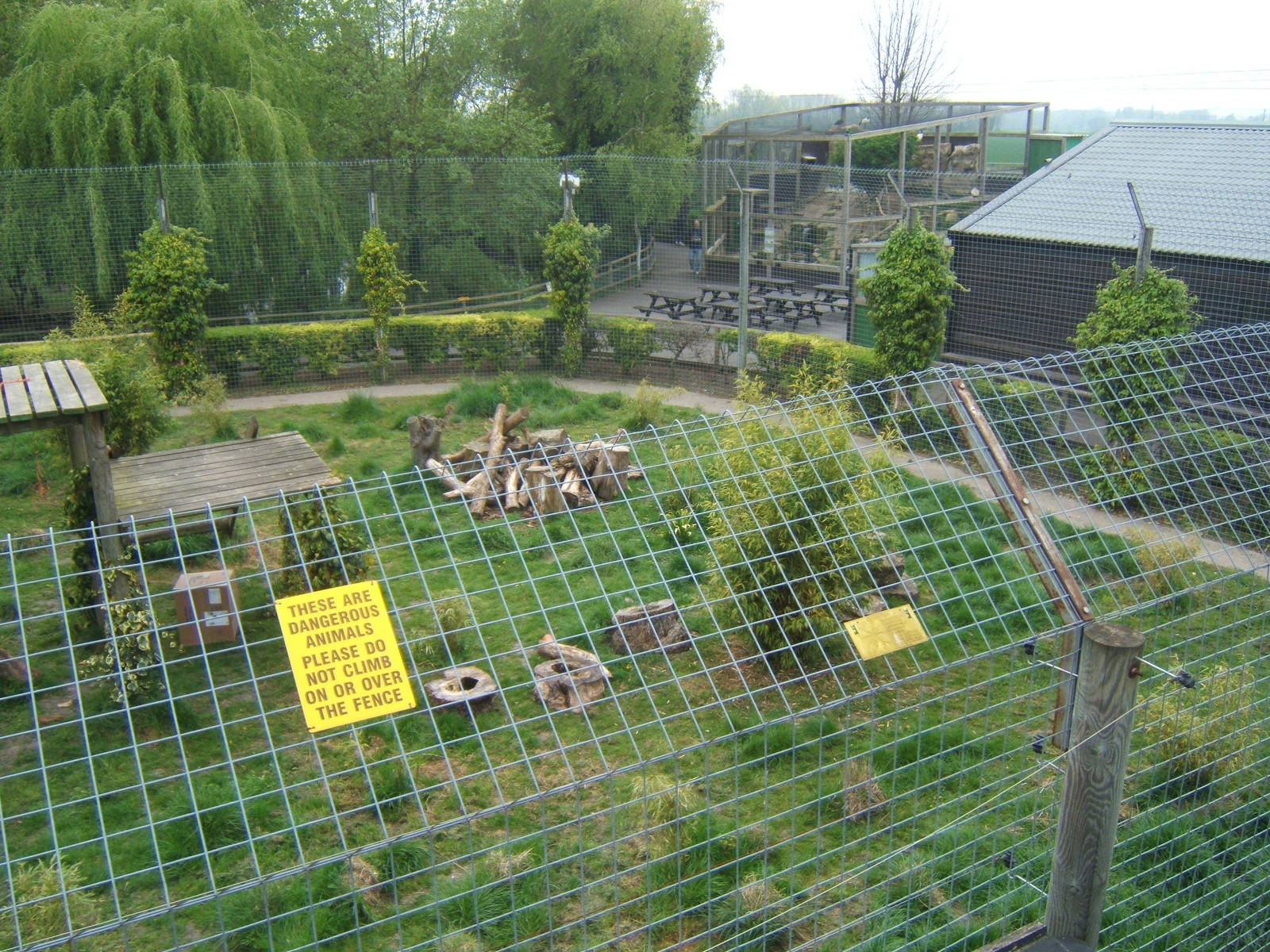 View of Tiger enclosure from above with Ibis aviary in background