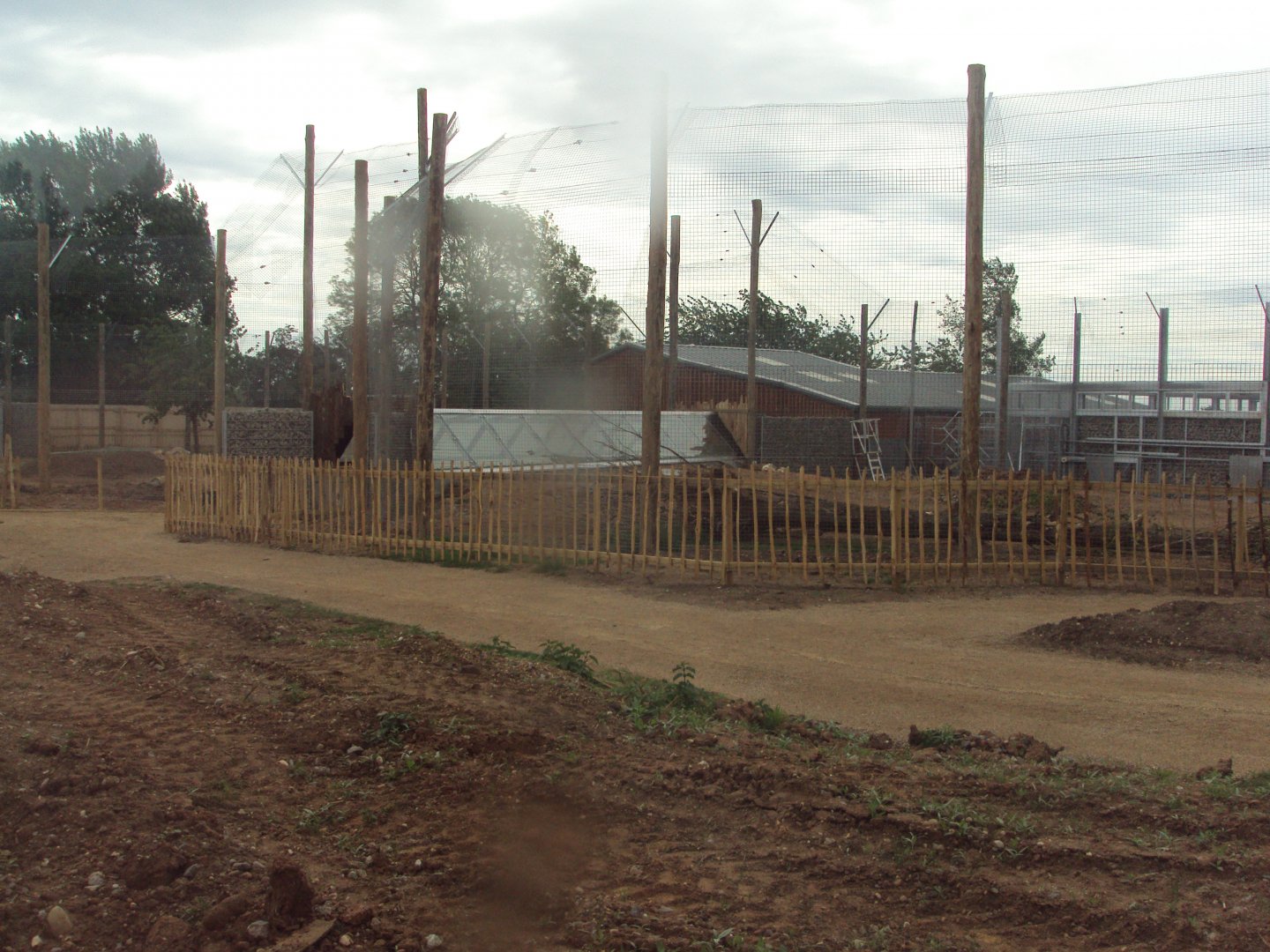 View of Tiger enclosure under construction 02/06/2019