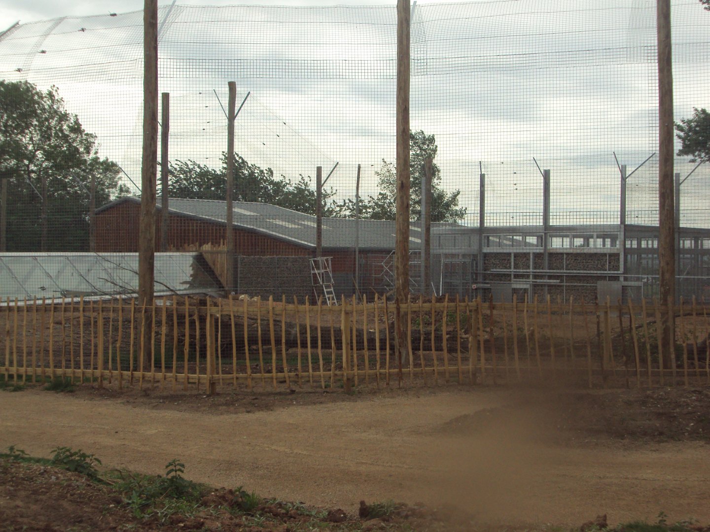 View of Tiger enclosure under construction 02/06/2019