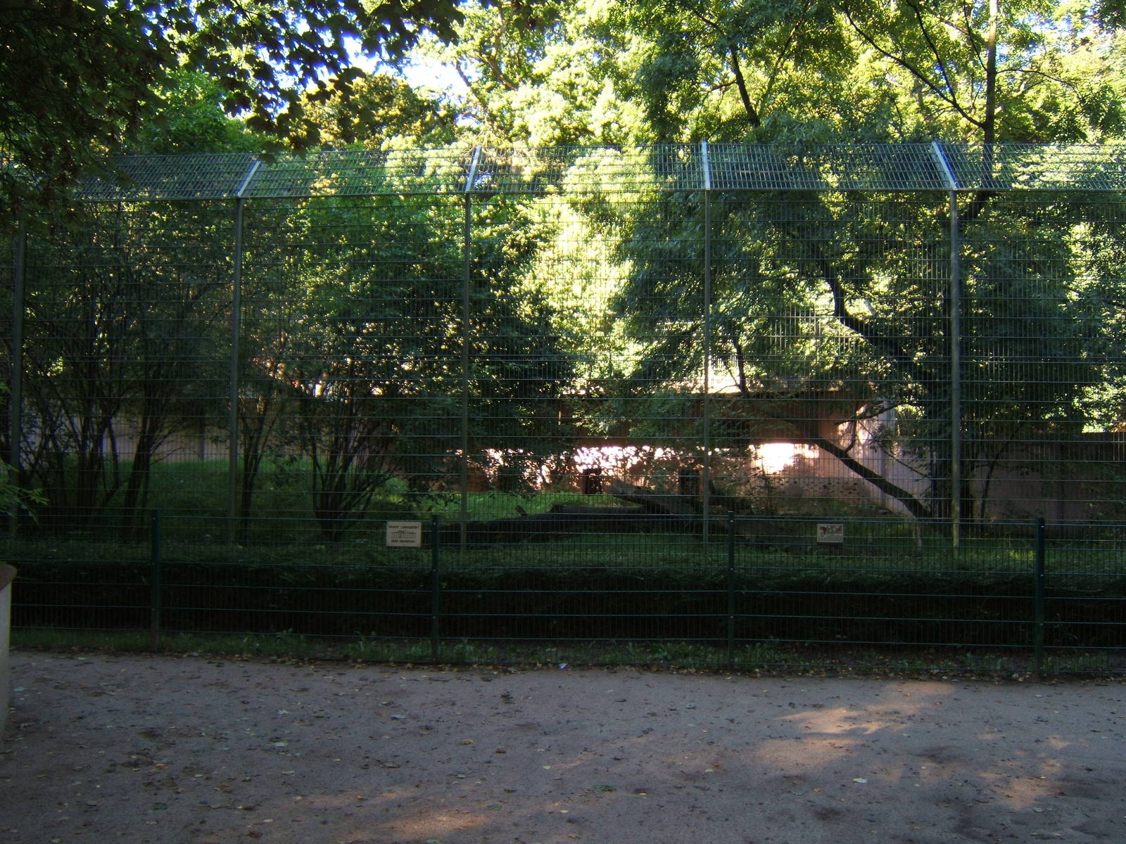 View of Tiger enclosure