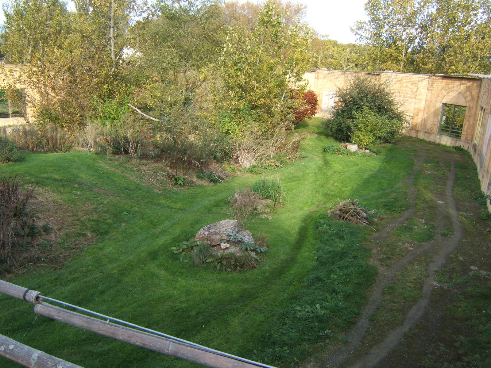 View of Tiger enclosure