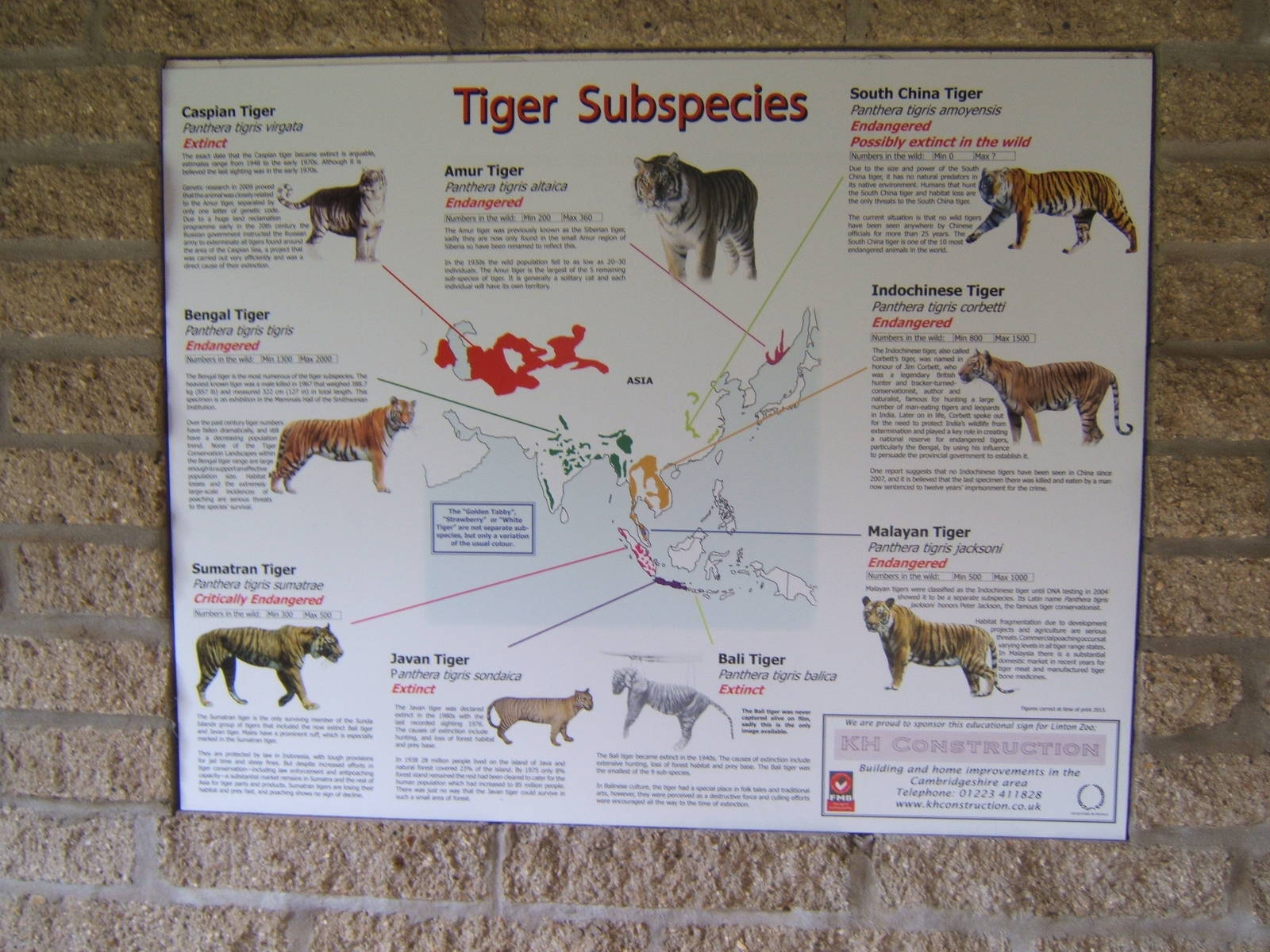 View of Tiger signage