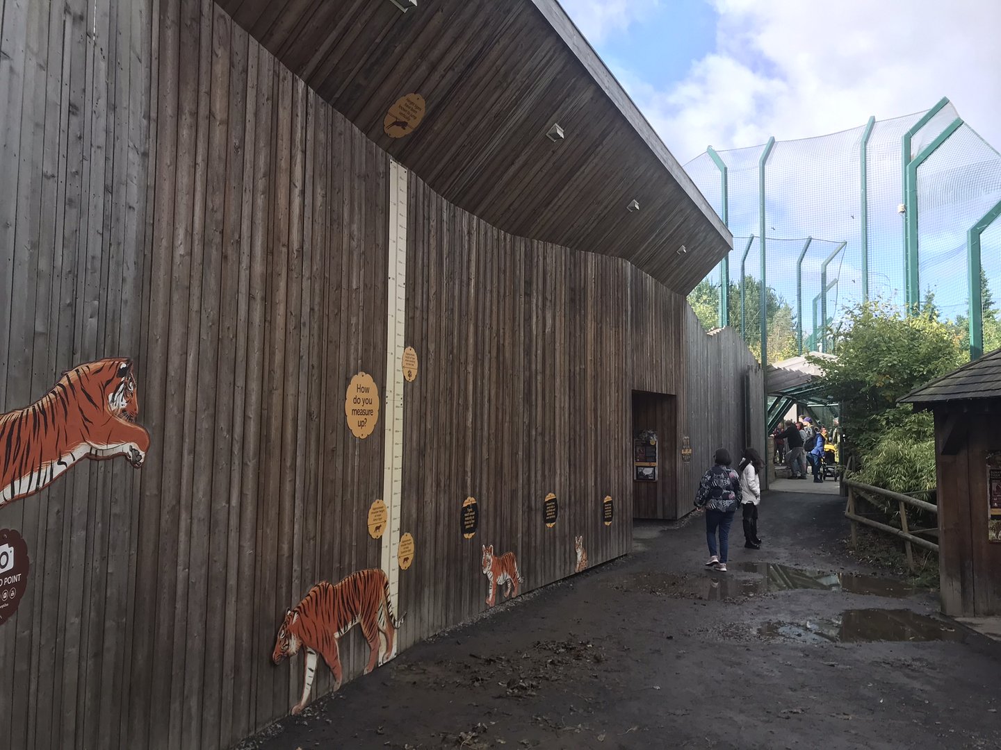 View of tiger tracks