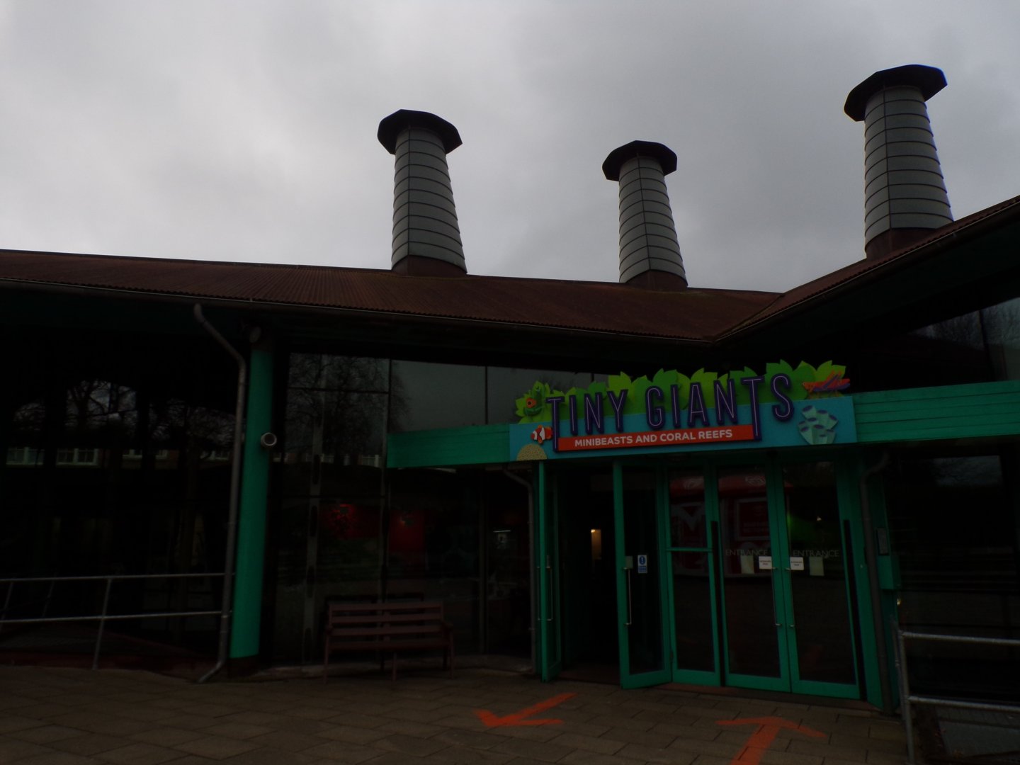 View of Tiny Giants building 11.2.25