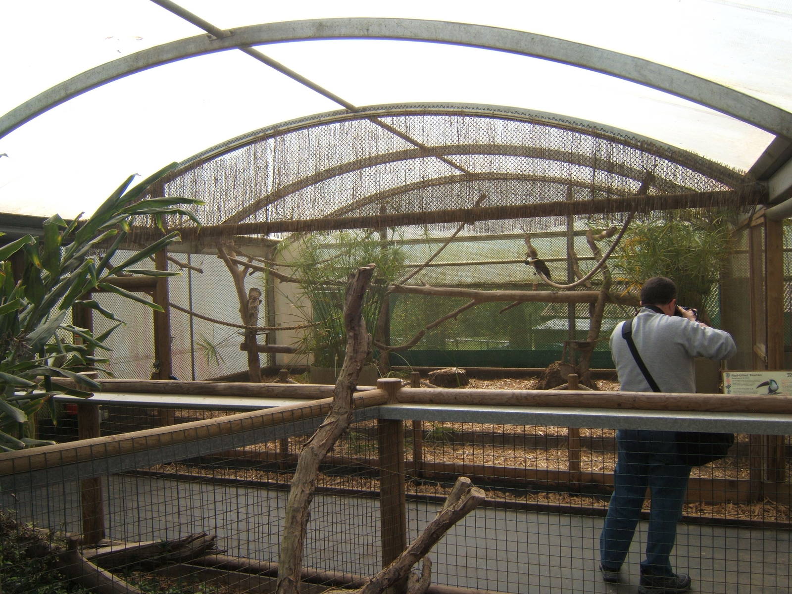 View of Toucan aviary
